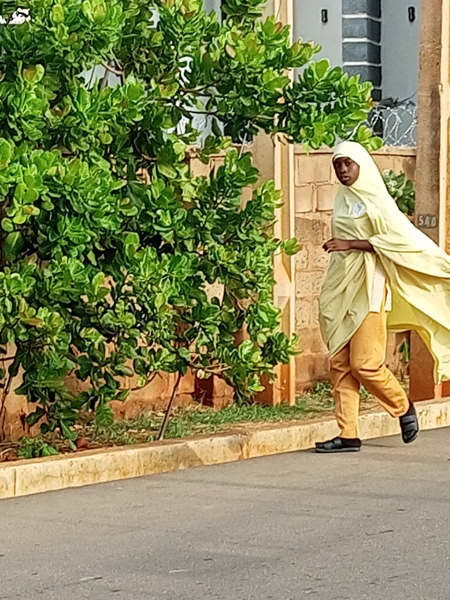 In the city of Unknown, Unknown, an outdoor daytime scene features a single person walking on a paved road. The individual, appearing to be a young adult with a dark complexion, wears a light yellow head covering, a flowing light yellow tunic or garment, tan trousers, and black flat sandals. The garment exhibits movement as if influenced by wind or momentum. The person walks from right to left across the frame, with the right foot forward, and is looking towards the camera.
The immediate foreground consists of a gray asphalt road. A textured, light-colored stone curb separates the road from a narrow strip of ground with sparse green grass and visible brown earth. To the left, a dense green bush with small, abundant foliage occupies a significant portion of the midground. Behind the bush and the person, a light brown brick wall is visible. Further in the background, a building with distinct gray and white vertical architectural elements is present. A metal fence topped with coiled wire is discernible between the building and the wall. On the far right, a light-colored surface bears the numerical designation "540". The scene is illuminated by natural daylight.