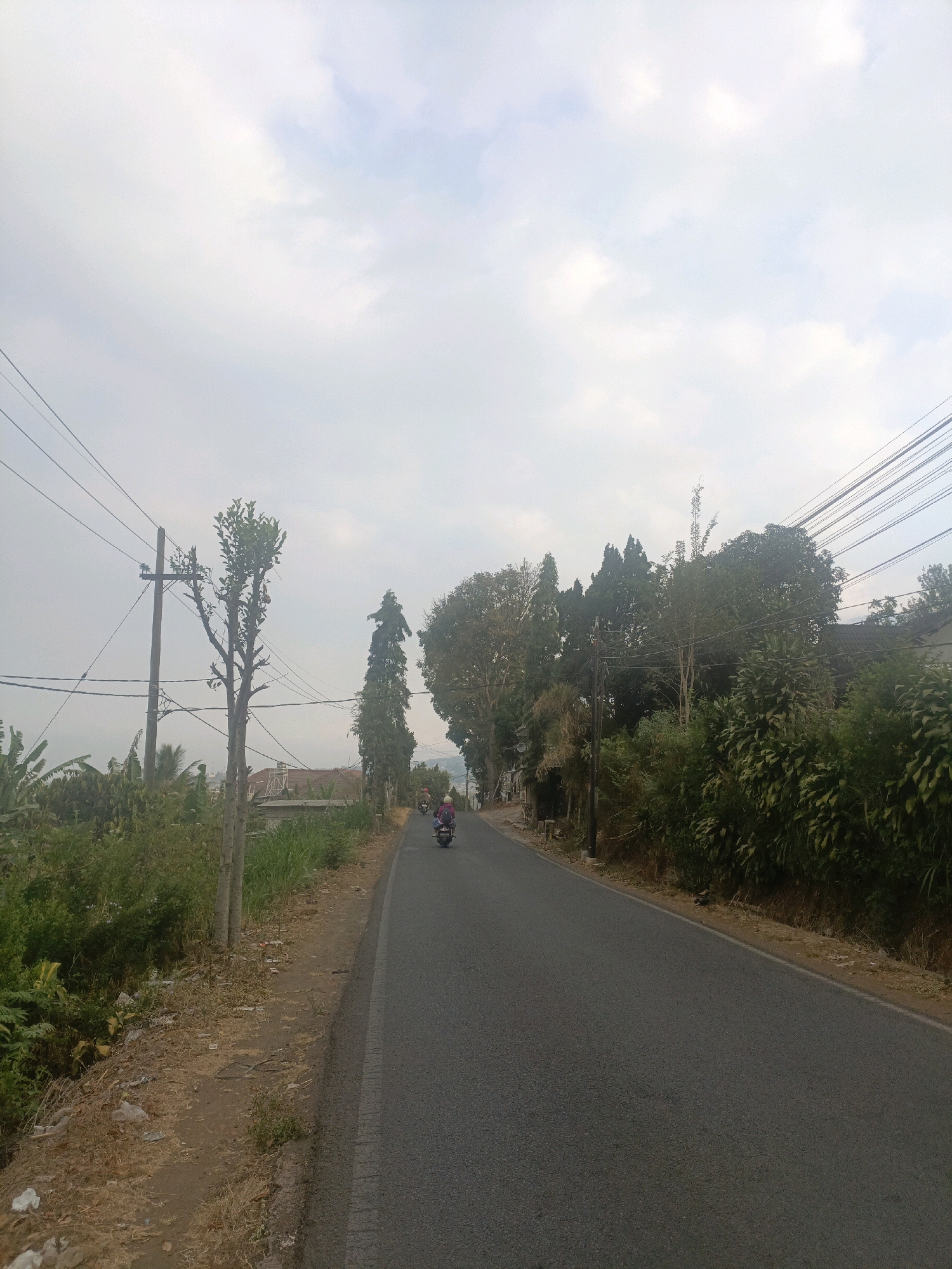 The image depicts a rural road in Batu, Indonesia, under an overcast sky. The road, paved and gray, curves gently into the distance, flanked by lush greenery and tall trees on either side. A single motorcyclist, wearing a pink helmet and jacket, is visible riding away from the camera. Utility poles and wires stretch across the upper portion of the frame, indicating the presence of infrastructure. The immediate roadside to the left is unpaved and littered with dried leaves and some scattered trash, contrasting with the well-maintained road. Further back on the left, there are signs of habitation with a building visible amongst the foliage. The overall scene suggests a quiet, everyday moment on a road in a less urbanized area of Batu.
