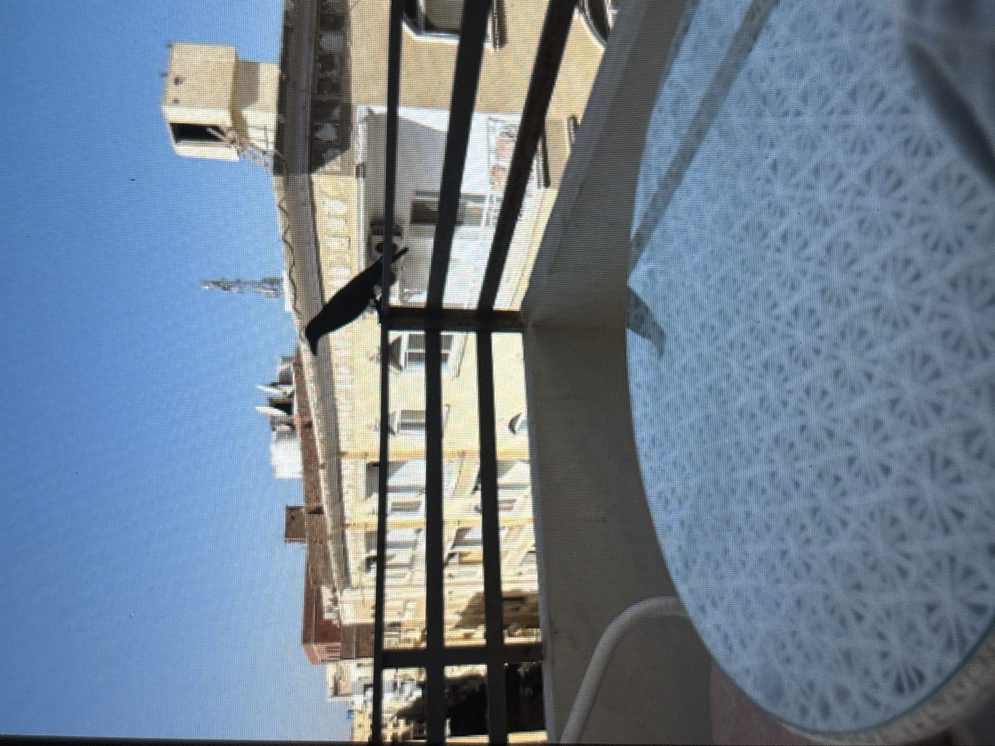This is a photograph, oriented vertically. The scene appears to be an urban setting, with several buildings visible. The sky is a clear, bright blue, suggesting a sunny day, likely in the morning or afternoon.
In the foreground, a portion of a round, patterned table is visible on the right side. The pattern is intricate, resembling a light blue lattice or floral design. A dark shape, possibly a chair or furniture, is partially visible in the lower right corner.
Beyond the table, a railing or balcony structure with dark vertical bars cuts across the frame. Behind these bars, another building is visible. This building is tan or light yellow, with several windows and architectural details that suggest it's an older structure. The windows appear dark, with some showing hints of interior structures.
On the left side of the image, a bird with dark plumage is perched on one of the horizontal elements of the balcony or a similar structure. It is silhouetted against the bright blue sky. Further in the distance, more buildings and structures are visible, including what appears to be a crane or antenna.
The overall impression is a view from a balcony or window looking out onto a cityscape under a clear sky. There is no text visible in the image. The photo's composition and the details of the buildings suggest a location in a city with a moderate climate.