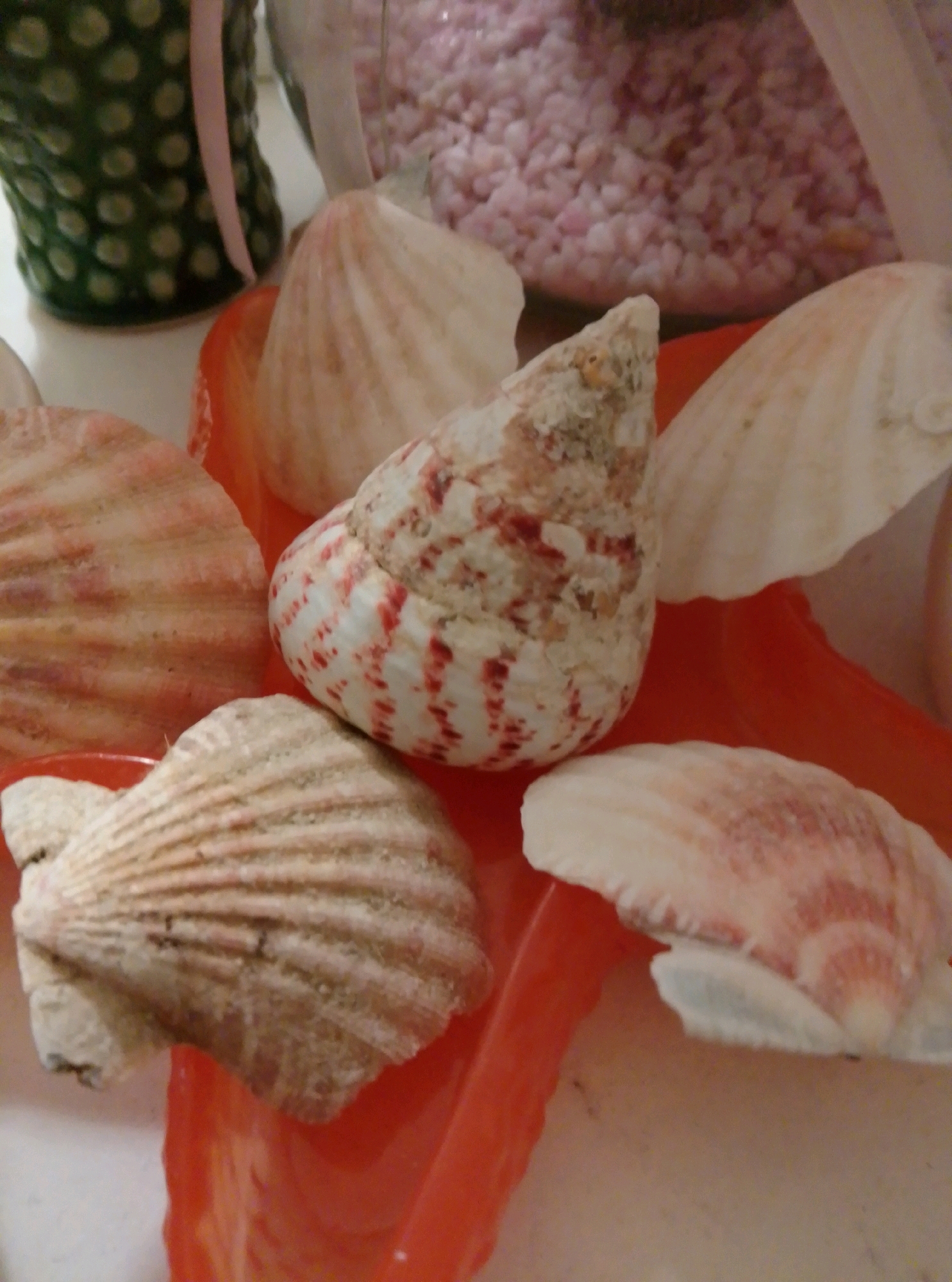 The image displays a close-up view of several seashells arranged in an orange, shell-shaped dish. The seashells vary in size and color, with some exhibiting pink and white stripes, while others are a muted beige. In the background, a portion of a green, textured container with a pink ribbon is visible, along with a blur of pink granular material, possibly decorative stones or sand. The scene appears to be a still life composition, possibly part of a decorative arrangement. There are no people or discernible actions taking place in the image. The overall lighting is soft and diffused, suggesting an indoor setting. The image's content does not provide any specific location information within the city of Wedel, Germany.