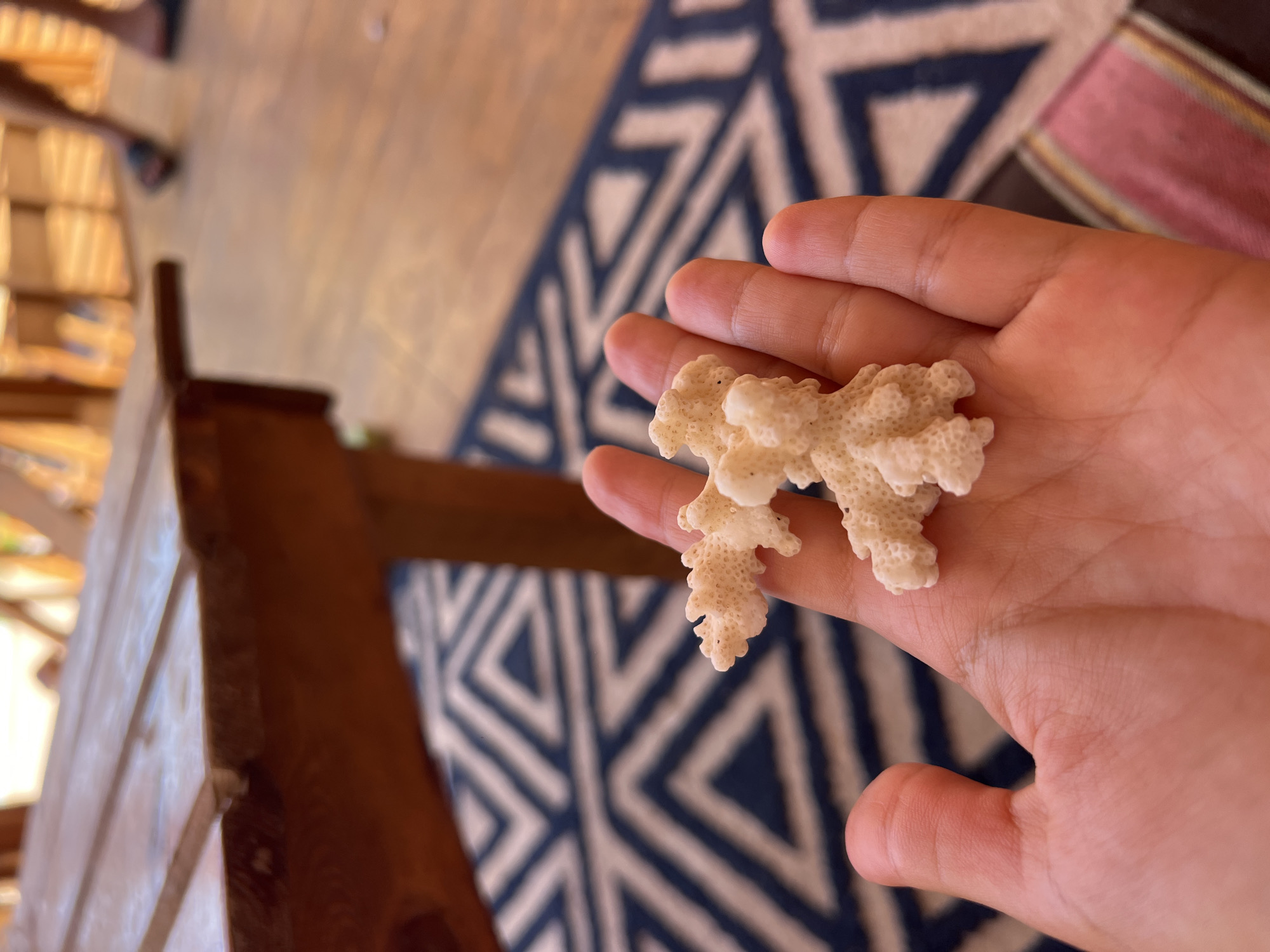 A hand holds a small, intricate piece of white coral against a background of a wooden table and a patterned rug. The coral is textured and branched, with small porous openings visible. The hand is relaxed, with fingers slightly curved. The wooden table appears to be outdoors, with a rustic finish and visible grain. The rug has a geometric pattern of blue and white triangles. In the blurred background, a person's legs and feet are visible, wearing dark sandals. The scene suggests a casual, outdoor setting, possibly in a beachside location.