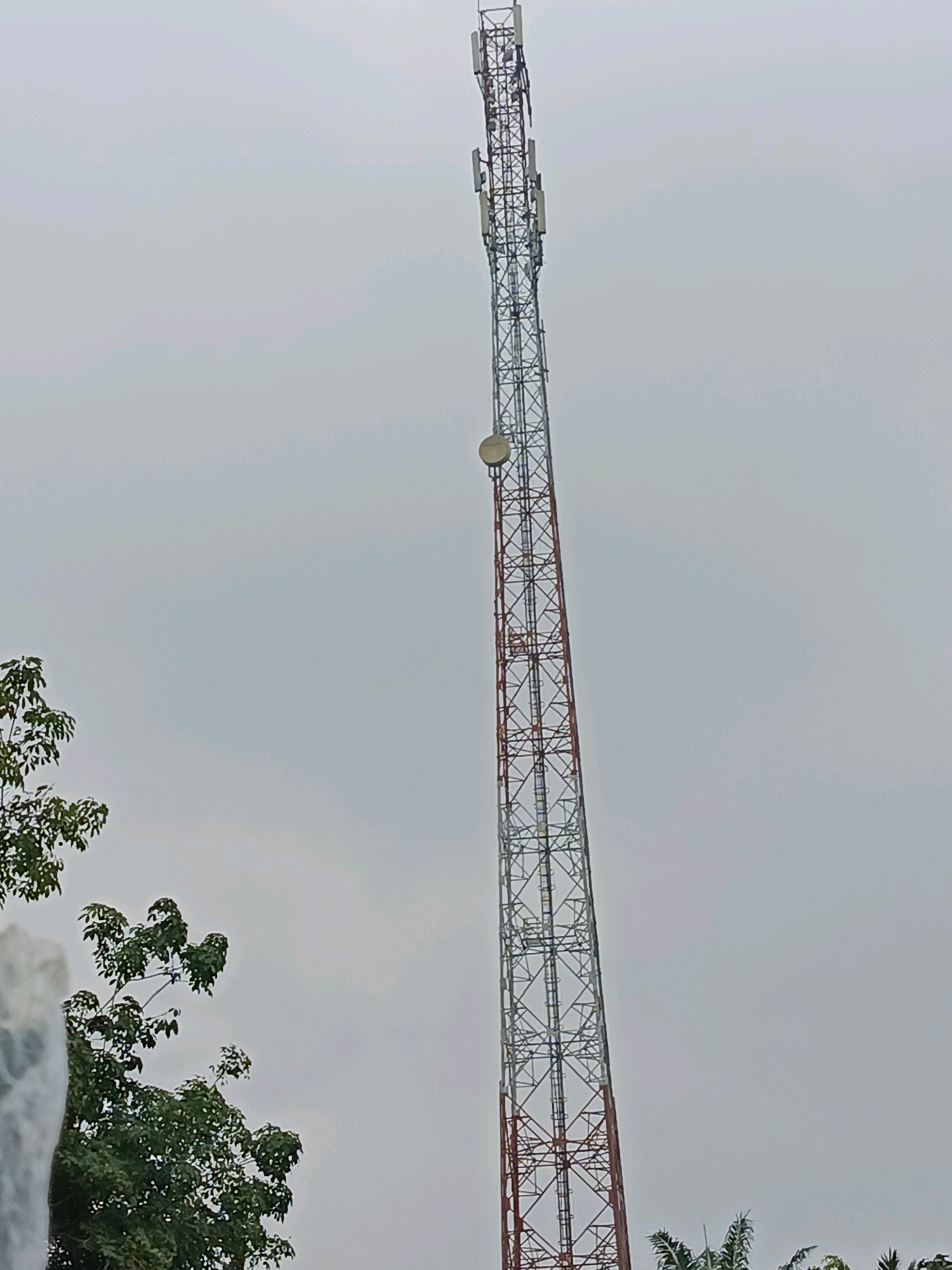 An outdoor, low-angle, full shot captures a tall telecommunications tower against an overcast sky. The tower, constructed of grey metal lattice with red horizontal bracing, is positioned on the right side of the frame and tapers towards the top. Several antennas and equipment are visible attached to the tower's structure. A circular dish antenna is mounted lower down on the tower. On the left side of the image, green foliage from trees frames the scene. The environment appears to be a semi-urban or rural area, given the presence of the telecommunications tower and surrounding vegetation. The exact location in Wonosari, Indonesia, is not discernible from the visual elements alone, but the context suggests it is an area with infrastructure development and natural elements. There are no people or immediate actions depicted in the image.