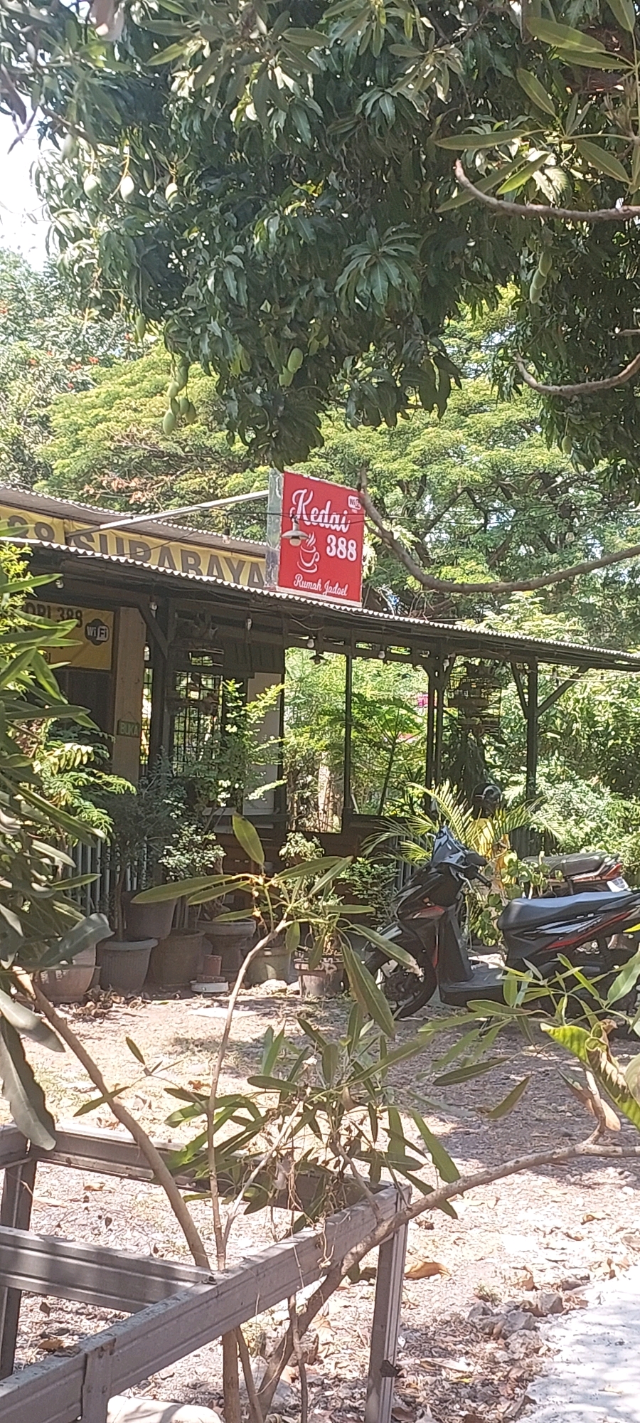 The image depicts the exterior of a casual establishment, likely a cafe or eatery, under a canopy of lush green trees. A prominent red sign with white lettering reads "Kedai 388" and "Rumah Jadul," suggesting it's a traditional or long-standing establishment. The sign also features a small Wi-Fi symbol. To the left of this sign, a larger yellow sign is partially visible, with the word "SURABAYA" clearly legible, indicating the location of the establishment in the city of Surabaya, Indonesia. The building itself appears to have a corrugated metal roof and an open-air seating area or veranda. Several potted plants are arranged in front of the building, adding to the natural ambiance. Two motorcycles are parked near the entrance. The foreground is occupied by foliage and some sort of metallic structure, partially obscuring the view of the building and its surroundings. The overall impression is one of a relaxed, possibly rural or suburban setting within Surabaya, with a focus on simple, traditional offerings.