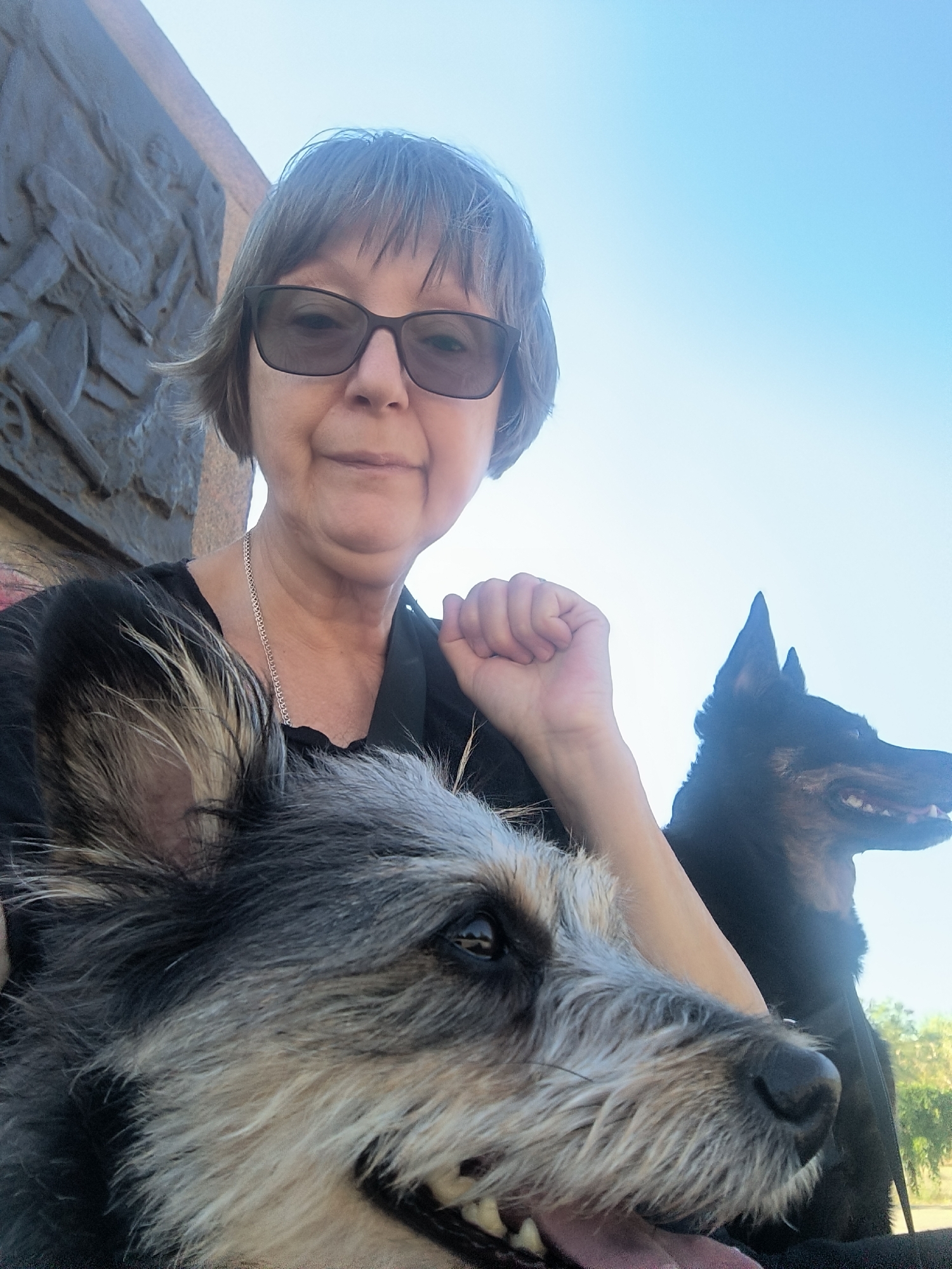 A woman with short, grey hair and sunglasses is taking a selfie outdoors, with two dogs in the foreground. The woman is wearing a black top and a silver necklace. To her left, a scruffy, grey and black dog is close to the camera, with its head angled towards the viewer. To her right and further back, a black dog with pointed ears is visible. The background shows a carved stone structure to the left and a clear blue sky. The scene appears to be outdoors, possibly in a park or public space. There is no indication of the location being the city of Mykolaiv, Ukraine.