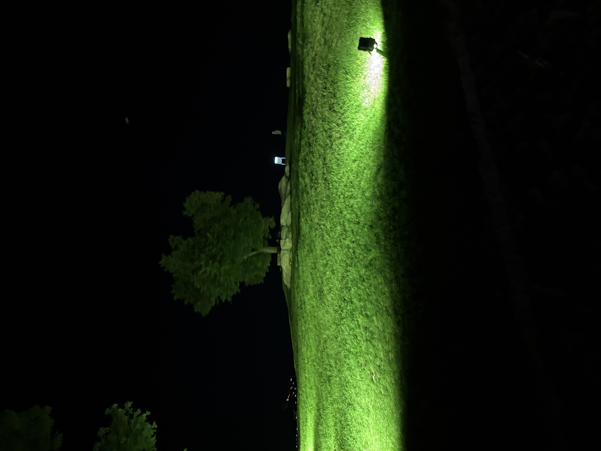 The image depicts a grassy hill illuminated by green lights at night. A lone tree stands atop the hill, surrounded by rocks. In the distance, faint lights suggest an urban or park setting, possibly Plovdiv, Bulgaria. A small, dark object, potentially a bird or insect, is visible in the night sky. The foreground is dominated by darkness, with a bright green light casting a glow on the grass, emanating from a visible light fixture.