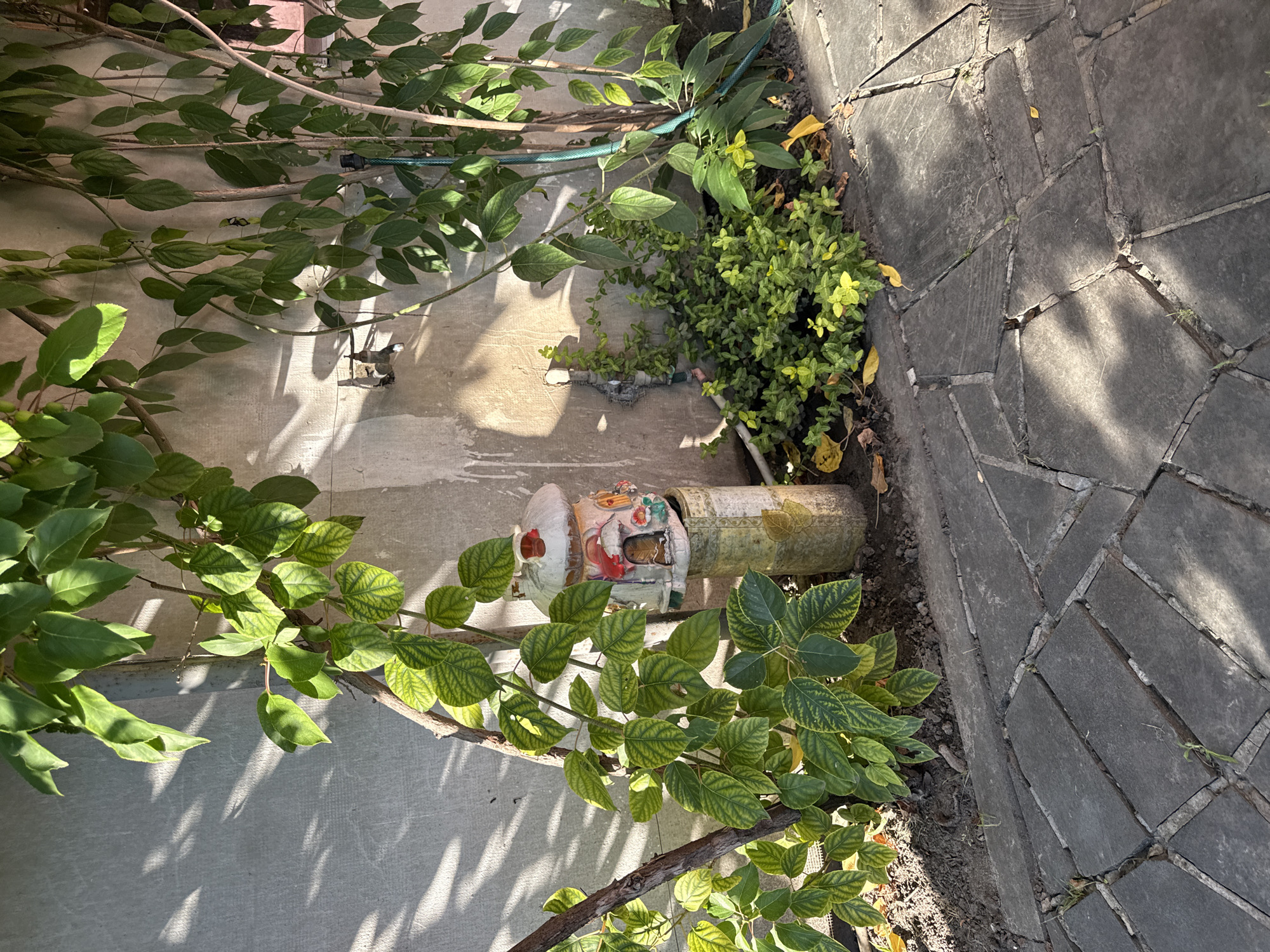 The image depicts a section of a garden adjacent to a concrete wall. A decorative mushroom-shaped house figurine stands on a cylindrical base, positioned near the wall. Various green plants, some with yellowing leaves, grow around the figurine and climb the wall. A garden hose is visible near the plants. The ground is paved with dark gray stones laid in a herringbone pattern. Sunlight casts shadows from the plants and trees onto the wall and pavement. The scene appears to be located in Okhtyrka, Ukraine, given the context. There are no people or animals visible in the image.
