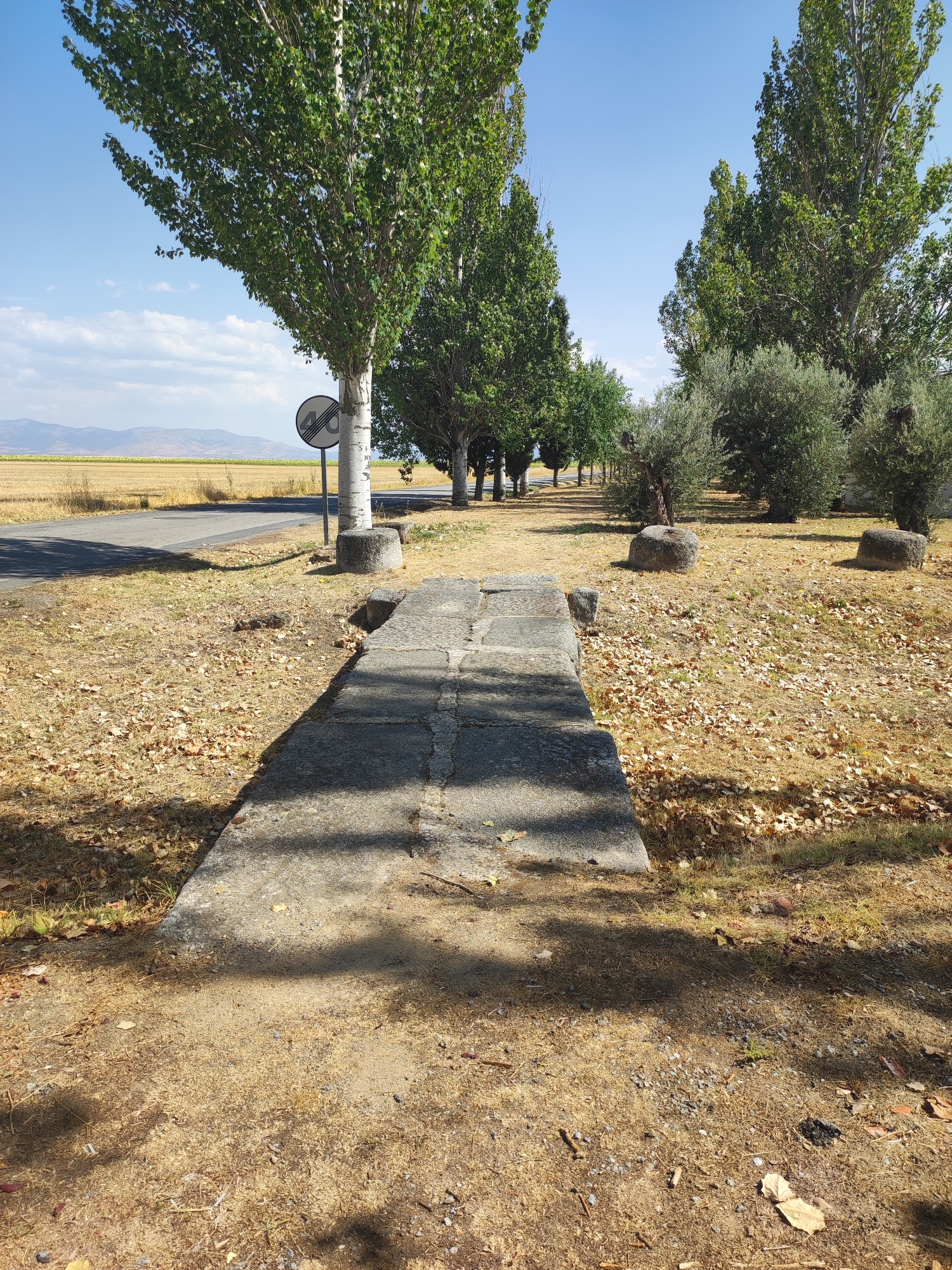 The image depicts a sun-drenched scene in Sangarcía, Spain, featuring a road lined with tall trees, likely poplar, on the left side. The ground is covered in dry, golden grass and scattered fallen leaves, suggesting a warm, possibly summer or early autumn, climate. A grey asphalt road curves gently to the left, bordered by a strip of dry vegetation and a low concrete structure running parallel to it. A circular traffic sign with a black diagonal bar over a "40" is visible near the road, indicating a speed limit. In the foreground, a weathered concrete pathway, composed of large, rectangular blocks, leads into the scene. Two large, dark, rounded stones are placed on the dry grassy area to the right of the pathway. In the distance, a field of yellow crops stretches towards a range of hazy mountains under a clear blue sky with a few wispy clouds. The overall impression is one of a rural roadside environment.