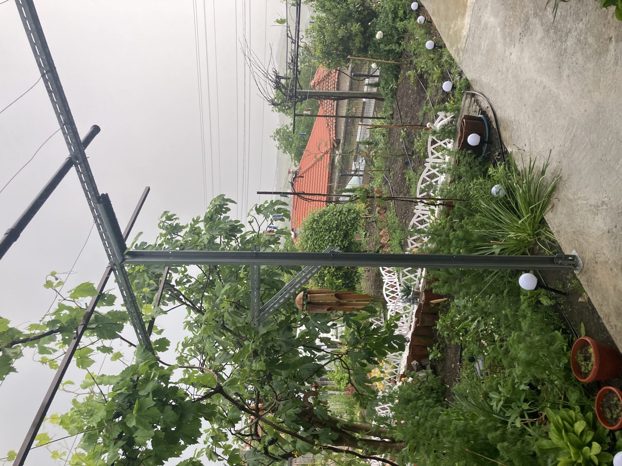 The image shows a garden in Komuniga, Bulgaria on a cloudy day. A metal frame trellis stands in the foreground, supporting grape vines and other leafy vegetation. A bamboo wind chime hangs from the trellis. Behind the trellis is a garden with a white picket fence and small globe-shaped lights strung along the ground. In the background, a house with a red tile roof is visible. Power lines are strung across the sky. A concrete path runs along the right side of the image. Several potted plants are visible near the path.