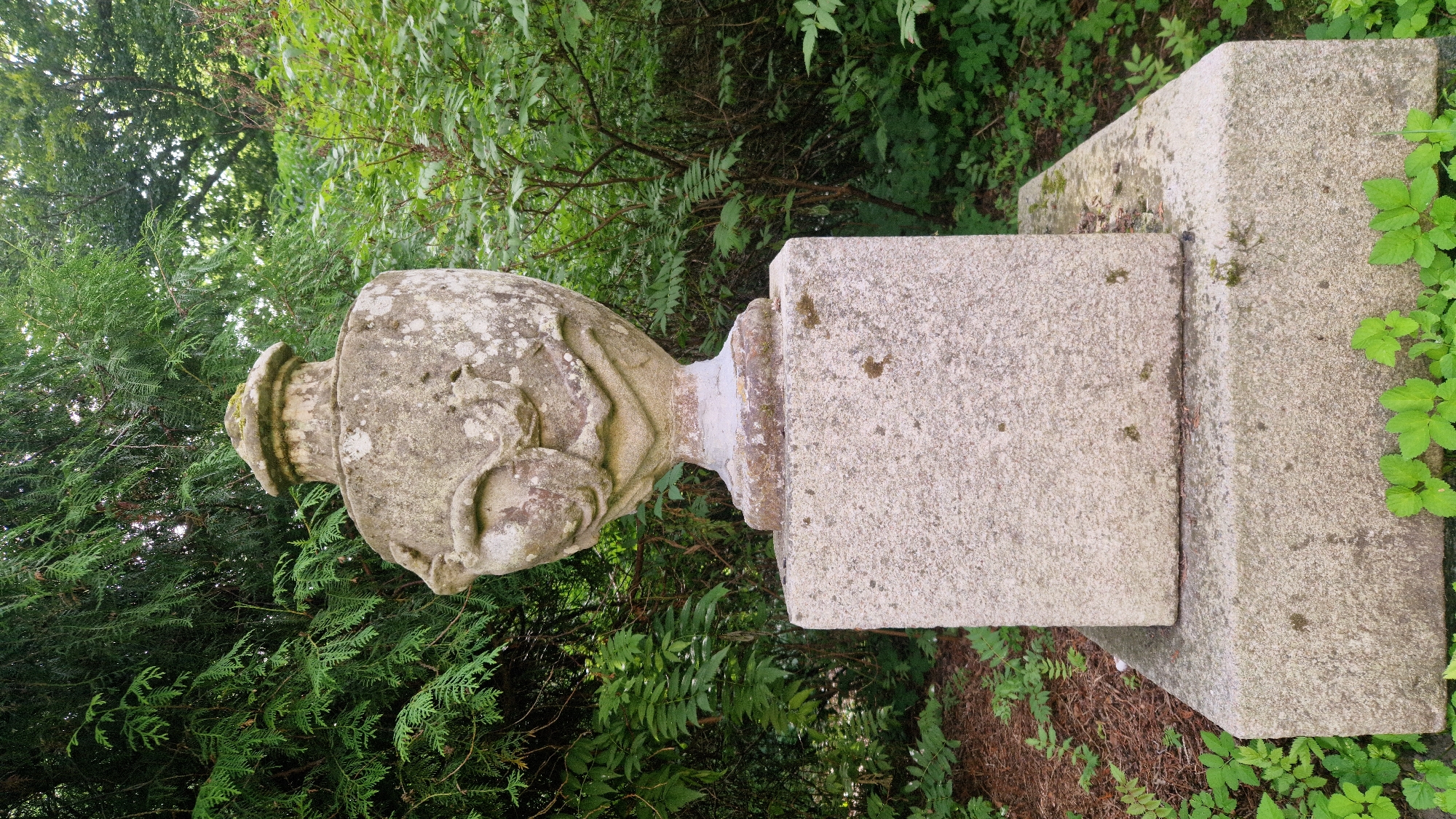 The image shows a weathered stone urn on a two-tiered stone pedestal, set outdoors amidst lush green foliage. The urn is ornate, with a lid and decorative elements on its body, possibly depicting a carved motif. The stone shows signs of age, with lichen and moss growth. The pedestal is cubic and made of rough-hewn stone. The background consists of dense trees and smaller plants, suggesting a garden or park setting. The scene appears to be situated in the grounds of Kazdanga Manor in Kazdanga, Latvia, a historical estate known for its park and architecture.