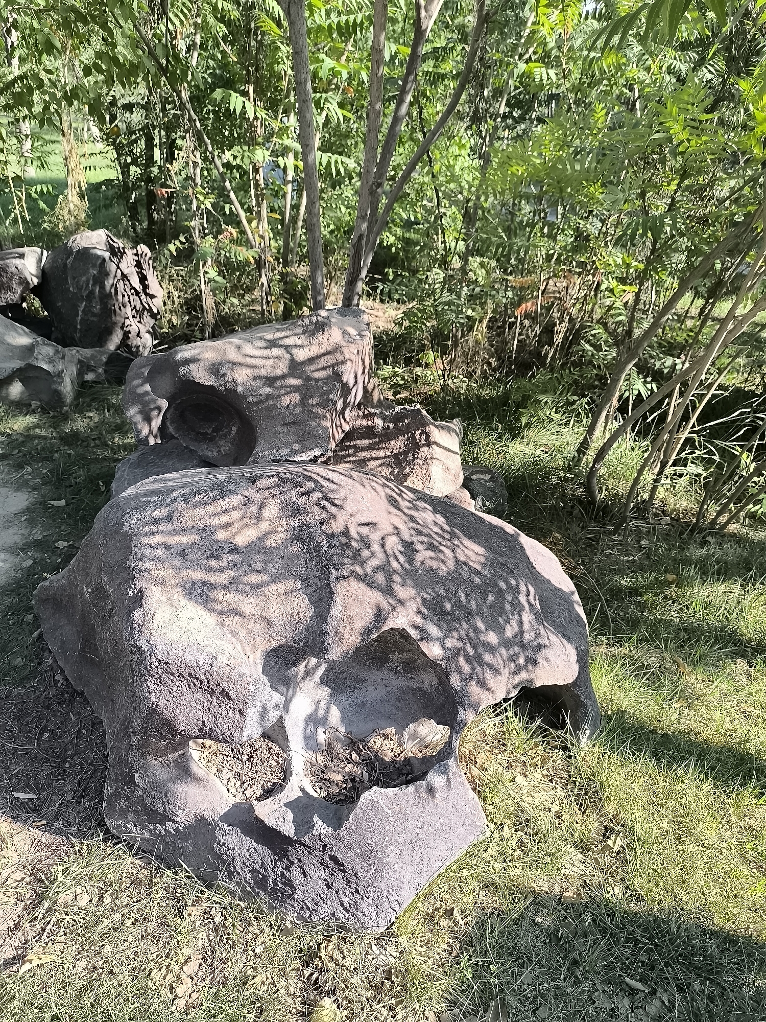 The image depicts a natural outdoor scene with a focus on large, dark-colored rocks arranged on grassy ground. The rocks are irregular in shape and size, with some featuring hollows and crevices. Sunlight casts dappled shadows from overhead foliage onto the surfaces of the rocks, indicating a sunny day. The surrounding environment consists of green grass and various trees with dense foliage. The setting appears to be a park or a natural area within the city of Ürümqi, China. There are no people or animals visible in the image. The composition suggests a still, tranquil moment in nature.