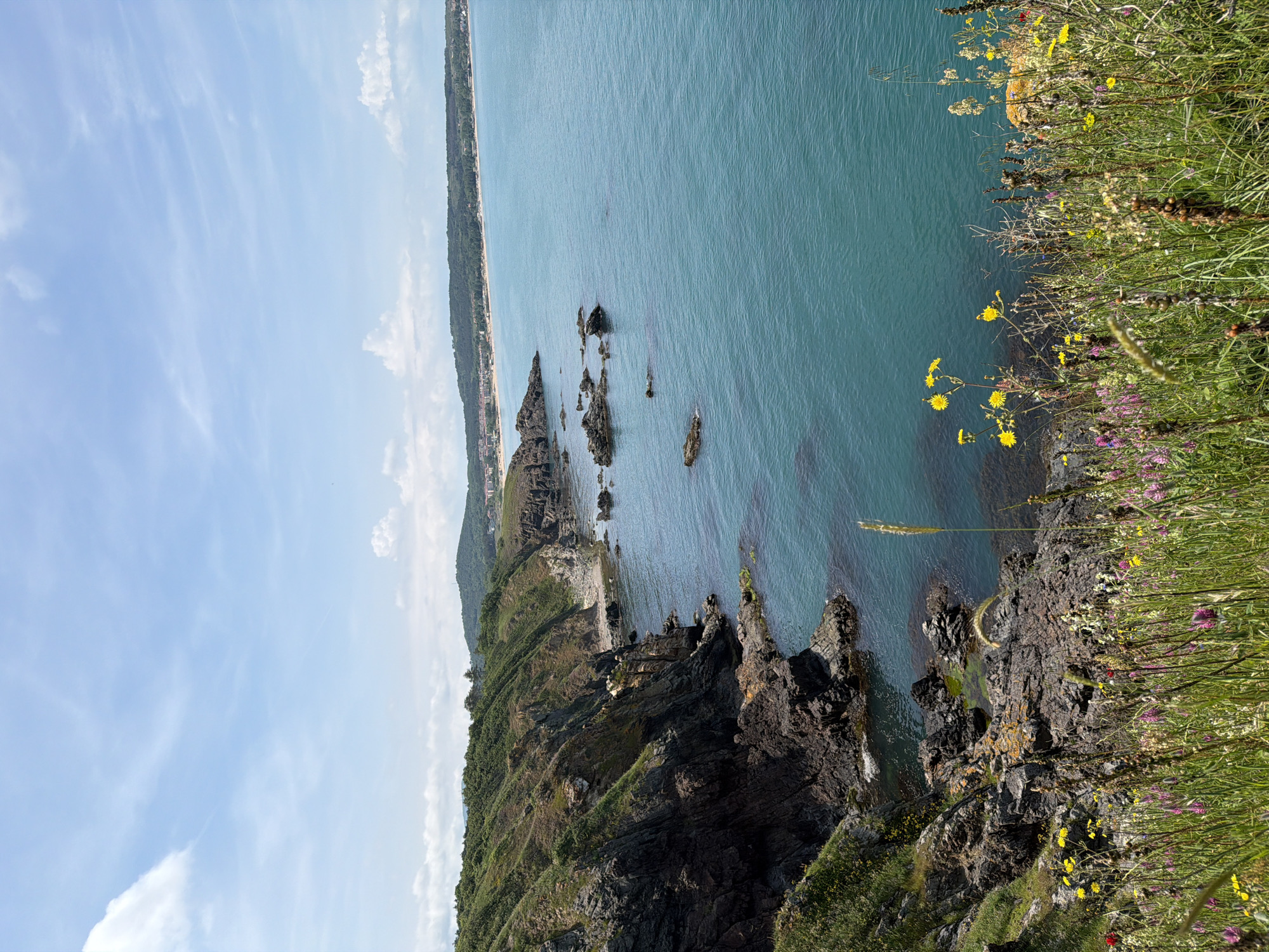 The image depicts a coastal scene in an unknown location. The foreground features a rocky cliff covered in vegetation, including grasses and wildflowers with yellow and purple blooms. Beyond the cliff, the ocean stretches out, displaying a turquoise hue. Several rocky outcroppings jut out from the water near the shore. In the distance, a narrow strip of land is visible, lined with trees and buildings. The sky above is pale blue with scattered clouds.
