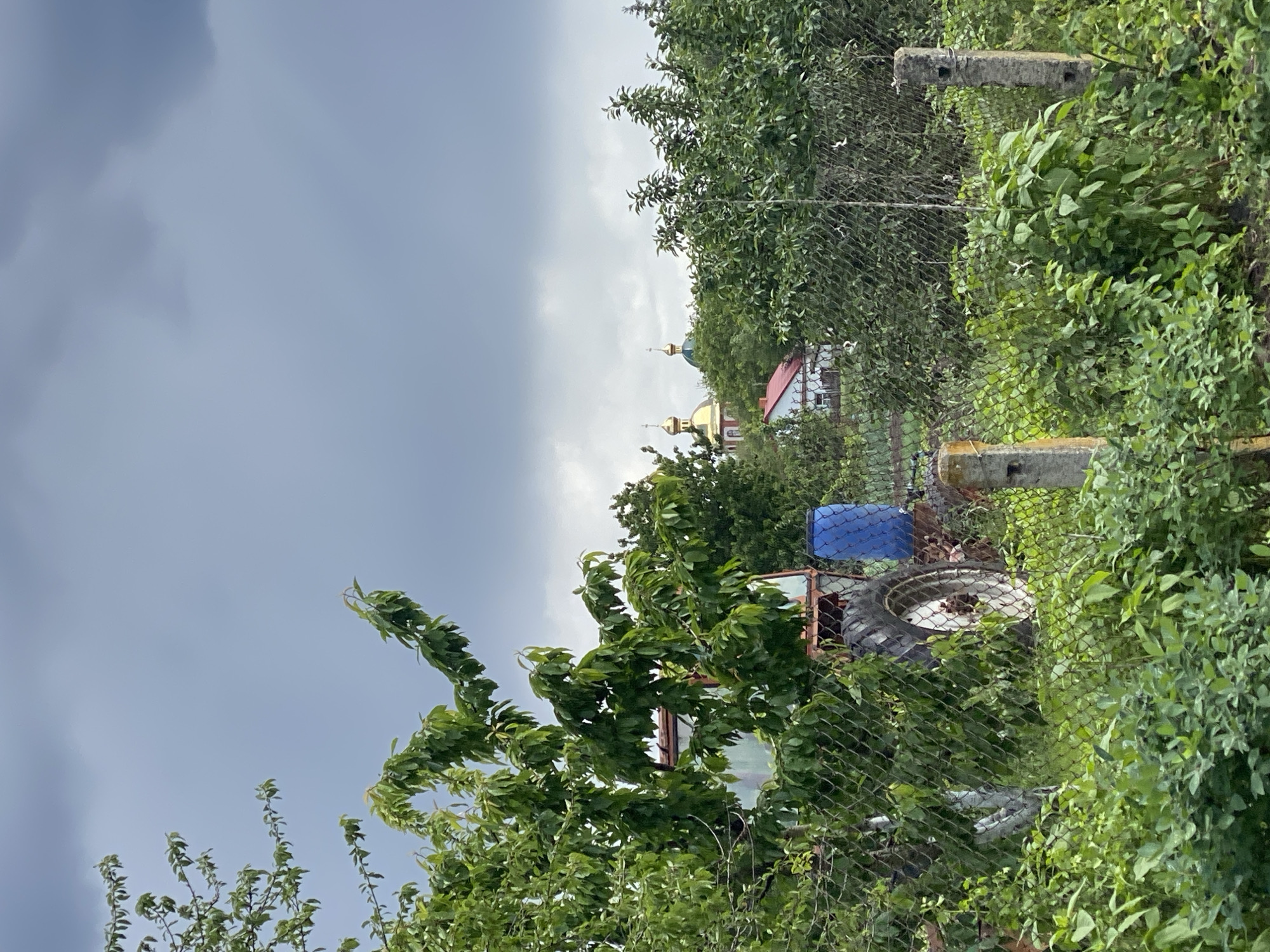 The image shows an outdoor scene in Ustyvytsia, Ukraine, under a cloudy sky. In the background, partially obscured by trees and a chain-link fence, is a building with a red roof and two golden domes, suggesting it is a church or religious structure. In the foreground, there's a tractor tire visible through the fence and foliage, alongside a blue container. The fence is supported by concrete posts. The overall impression is of a rural or semi-rural environment with overgrown vegetation.