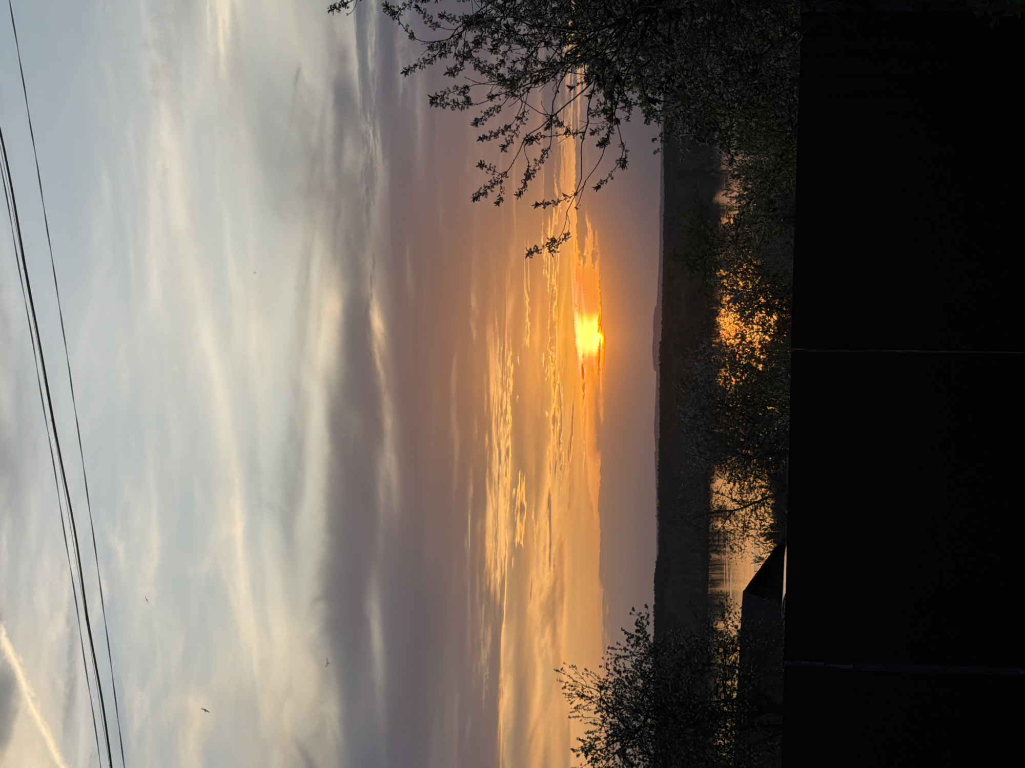 The image captures a sunset scene, potentially in Chaikovsky, Russia. The sun is setting amidst a sky with streaky clouds colored in hues of orange, yellow, and gray. The horizon is obscured by trees and foliage, some of which are silhouetted against the bright sunlight. There's a body of water reflecting the sunlight, creating a shimmering effect. Power lines are visible in the upper left of the frame. A structure, seemingly a building, is partially visible in the lower right, with a large portion of the right side of the image being dark and obscured.