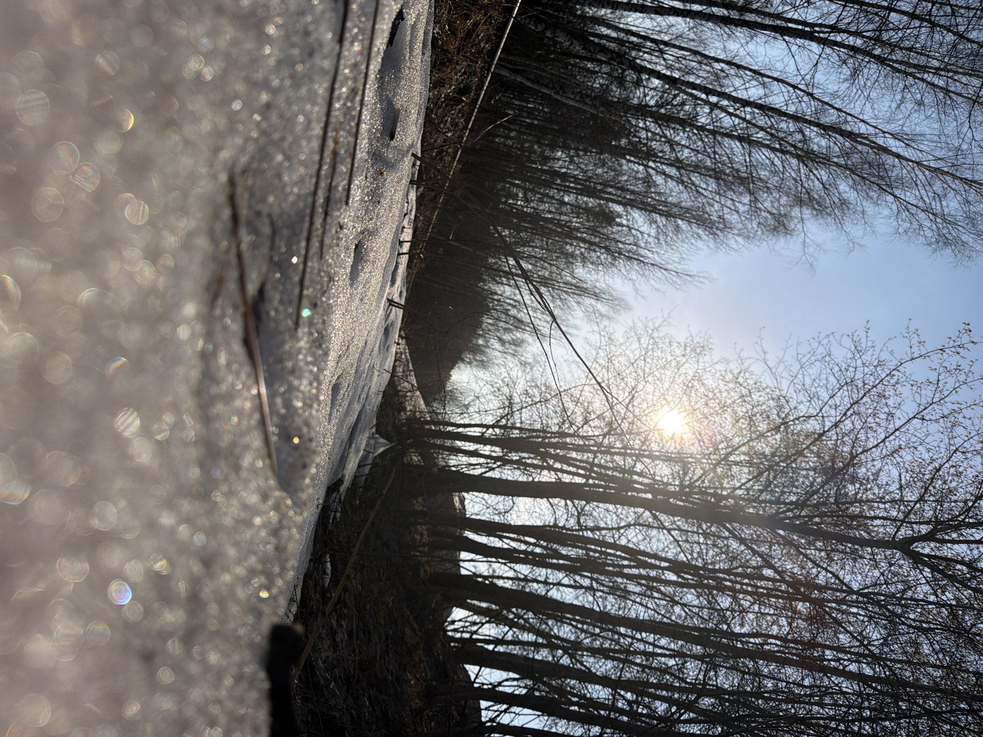 The image shows a winter landscape with trees against a blue sky and sun, the location in the city of Chaikovsky, Russia cannot be determined. The left side of the image features a blurred area with sparkling bokeh, possibly representing ice or snow reflecting sunlight. A dark, snow-covered embankment runs along the middle ground, separating the foreground from a backdrop of bare trees. The sun is visible through the branches, creating a lens flare effect. The sky is clear blue above the trees.