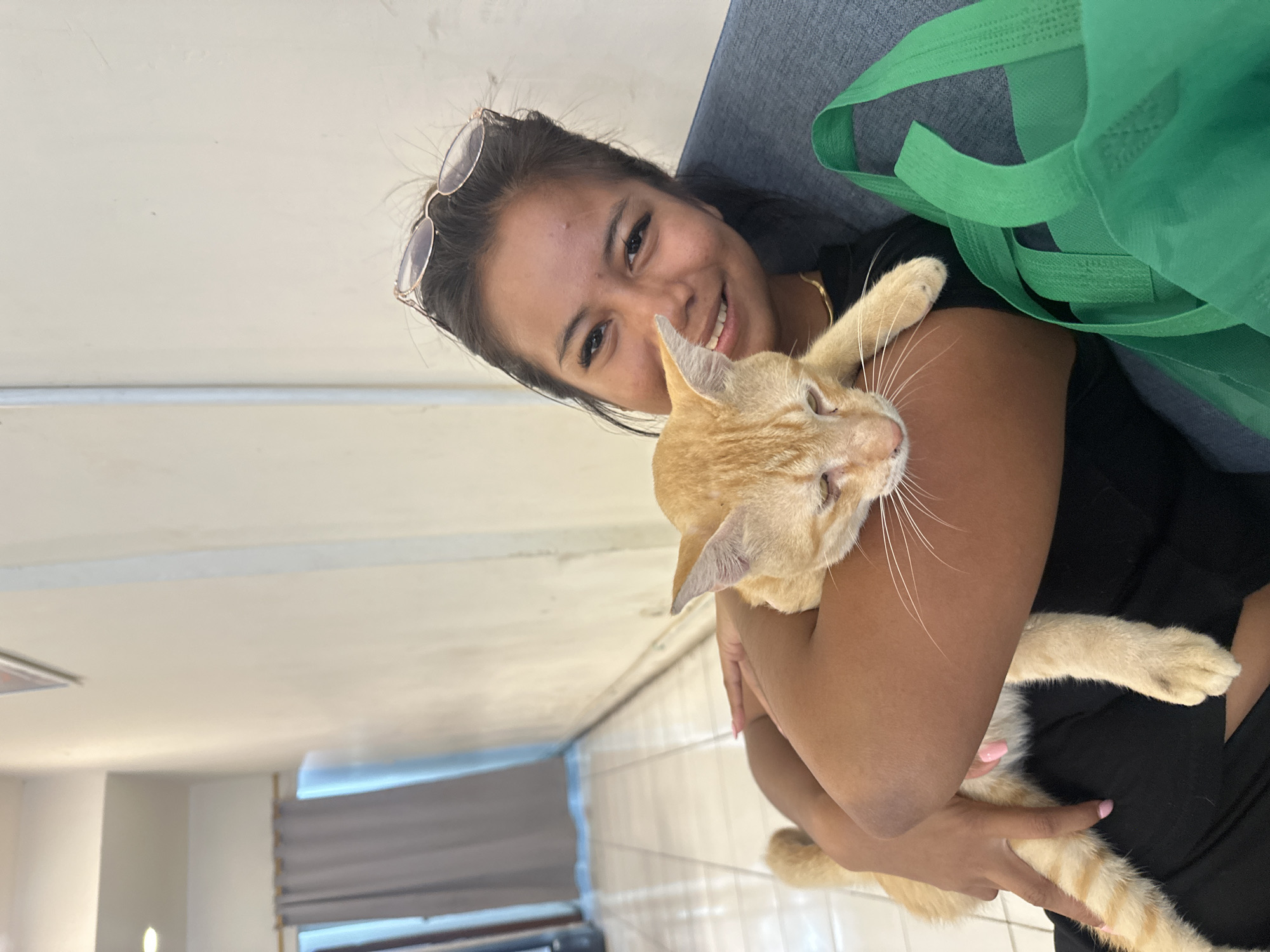 A woman is holding an orange tabby cat. The woman is smiling at the camera and has sunglasses on her head. She is wearing a black shirt. A green reusable shopping bag is near her shoulder. The background shows a white ceiling and a tiled wall with gray blinds. The location is indoors, likely in Central Jakarta, Indonesia.