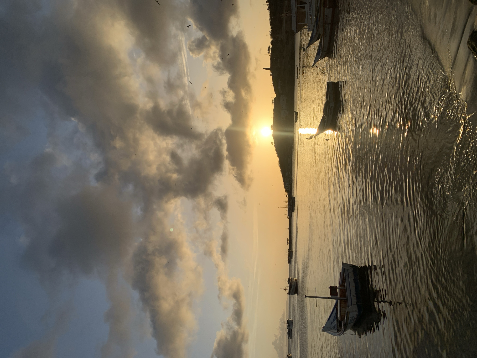 This is a photograph taken at sunset in the city of Juan Griego, Venezuela. The scene depicts a tranquil bay with several fishing boats anchored in the water. The sun is setting behind a hill on the horizon, casting a warm, golden glow over the water and clouds. The sky is filled with dramatic clouds, some dark and ominous, others illuminated by the setting sun. Birds are visible flying in the sky. The water is calm, with ripples reflecting the light. In the foreground, a small, weathered fishing boat with a single mast is bobbing gently in the water. Other boats are scattered throughout the bay, some larger and more modern, others smaller and clearly used for fishing. A lighthouse or tower is visible on the hill in the distance. The overall atmosphere is one of peacefulness and natural beauty.