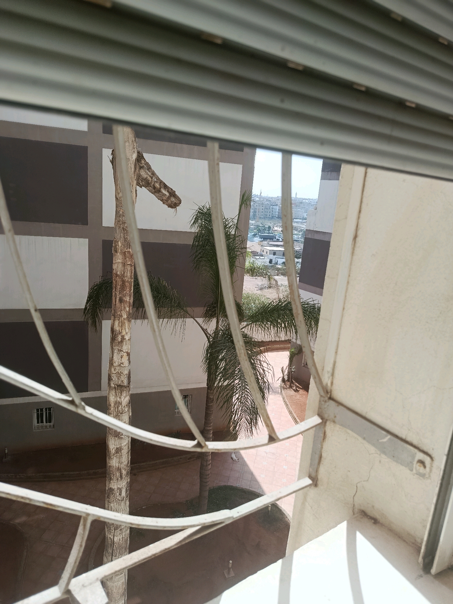 The image shows a view through a metal grate of a courtyard area and buildings in Casablanca, Morocco. In the foreground, the metal bars of the grate are prominent, with a segment of a large, dead tree trunk situated behind them. To the right of the tree, a palm tree with fronds is visible. The background reveals the facade of a building with a pattern of alternating dark and light colored squares, likely windows or decorative elements. Further in the distance, more buildings and a cityscape with several structures, including a mosque with a minaret, are discernible under a bright sky. The ground in the courtyard appears to be paved with reddish-brown tiles, with patches of dark soil and some greenery. The scene suggests an urban environment with both residential and possibly commercial structures.