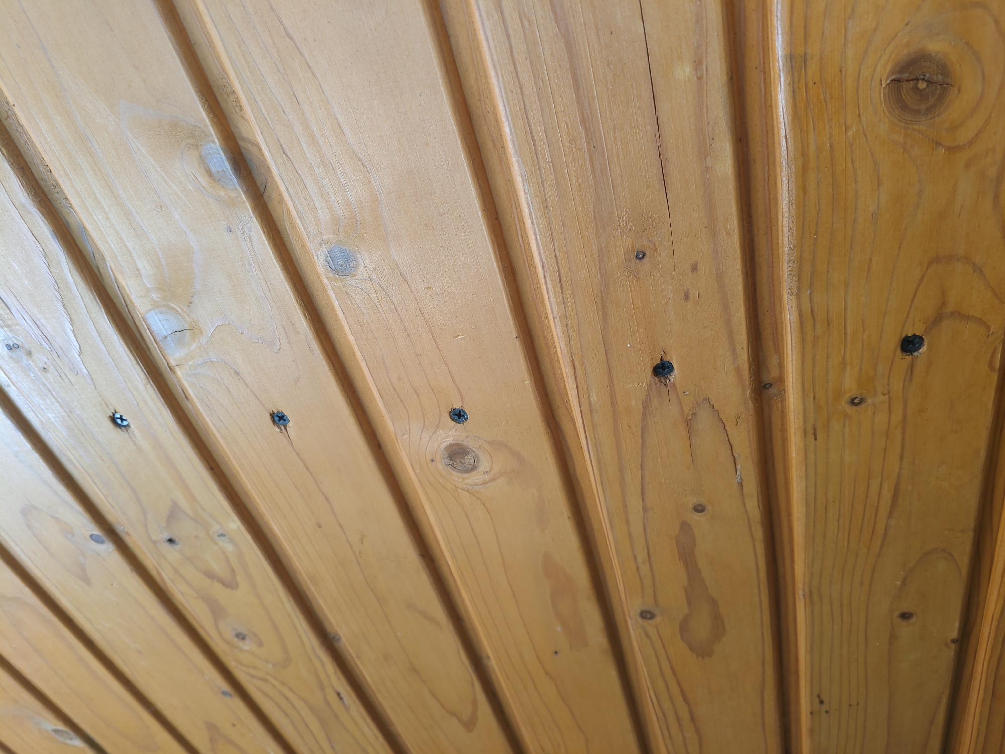The image is a close-up, angled view of a wooden ceiling or wall paneling. The wood is light brown with visible grain patterns and several knots. There are at least six dark-colored screws visible, some partially embedded and others flush with the surface. The panels are oriented diagonally from the bottom left to the top right of the frame, with a subtle bevel or groove between each plank. The lighting appears to be natural, casting soft shadows that highlight the texture of the wood. There are no people or any other discernible objects or activities in the frame. The location in Курашим, Russia, is not evident from the image itself.