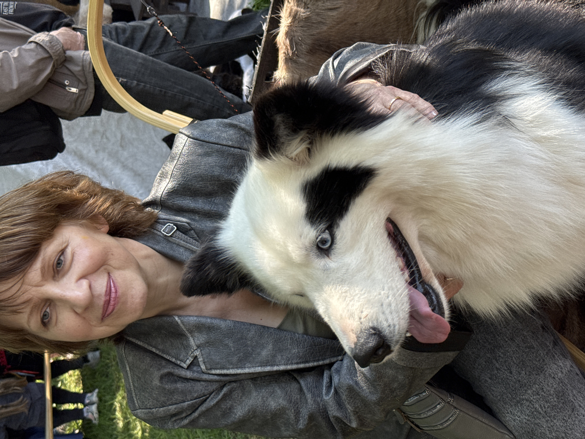 A middle-aged woman with short brown hair and a grey leather jacket smiles while holding a large black and white dog. The dog has a long white snout and a partially visible blue eye. The woman's right hand, adorned with a gold ring, rests on the dog. The background includes other people and objects, including a wooden ring, and a portion of grass. No evidence suggests the location is Vsevolozhsk, Russia.
