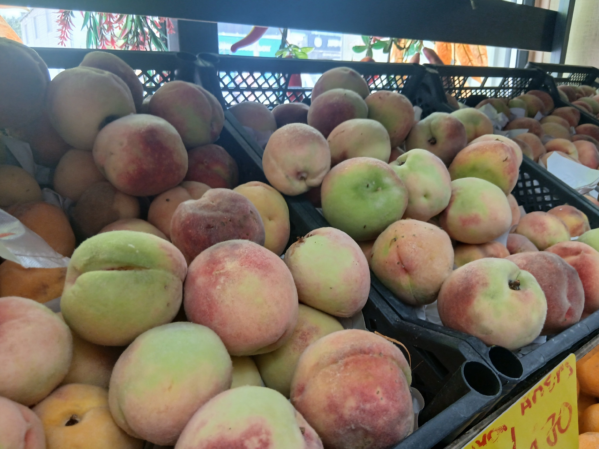 In Talas City, Kyrgyzstan, at a market stall, a close-up, eye-level shot captures an abundant display of ripe peaches. The peaches, predominantly pale yellow and pink with some green undertones, are piled high in black plastic crates, some nestled on white paper liners. The fruits exhibit their characteristic fuzzy skin and round, plump shapes, with visible clefts on many. The lighting suggests an outdoor or well-lit indoor setting, with a slightly blurred background showing foliage and what appears to be shelving or structural elements. The focus is entirely on the fruit, showcasing their freshness and variety.