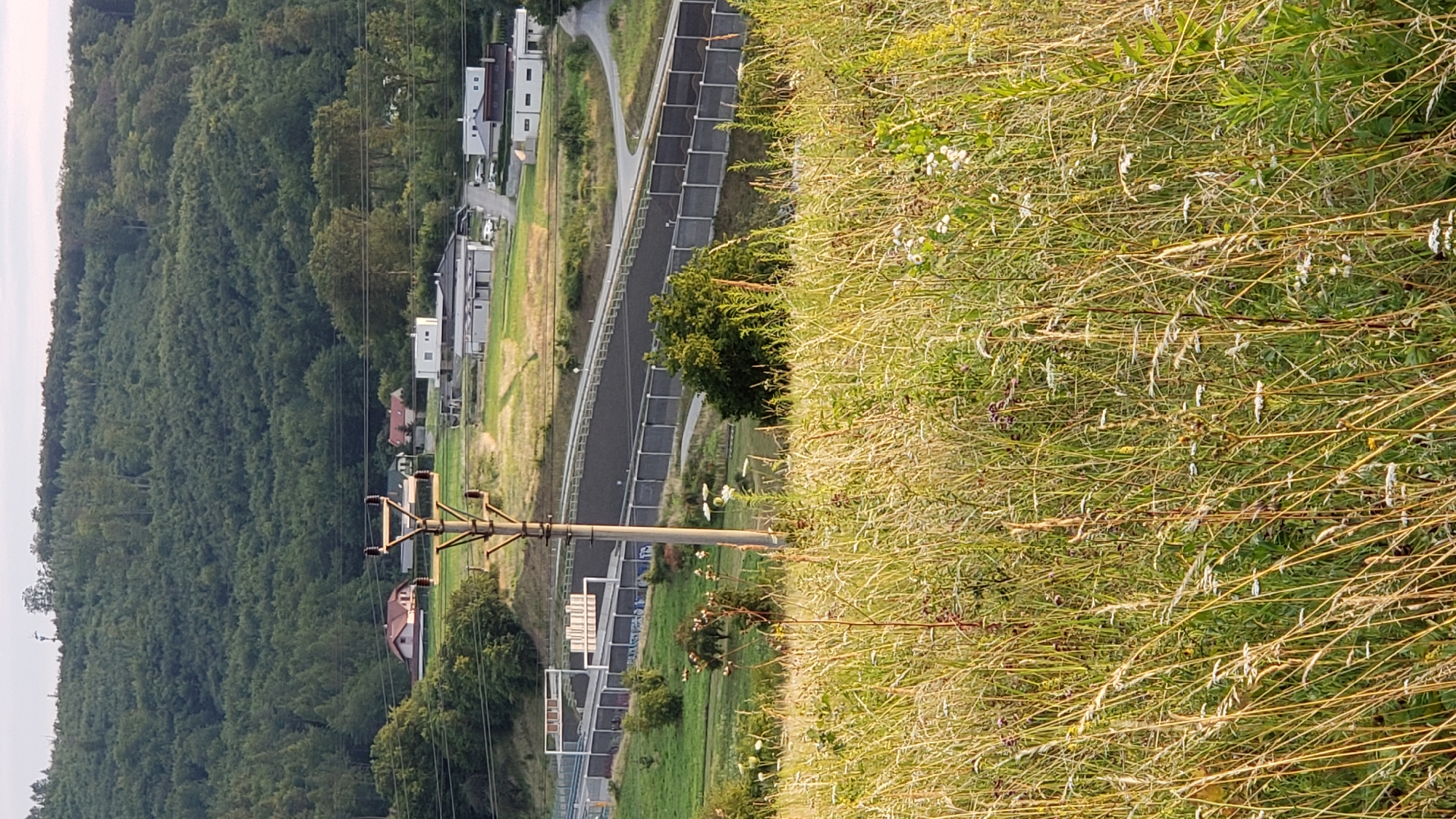 The image depicts a scenic view of a rural area with a densely forested hill in the background. In the midground, a modern highway infrastructure is visible, featuring sound barriers and elevated roadways. Several modern buildings, likely residential or commercial, are situated near the highway. A prominent electrical pylon stands in the foreground, amidst tall, dry grass and wildflowers. The scene appears to be in the outskirts of Prešov, Slovakia, suggesting a harmonious blend of natural landscape and developed infrastructure. There are no people or animals visible in the image.