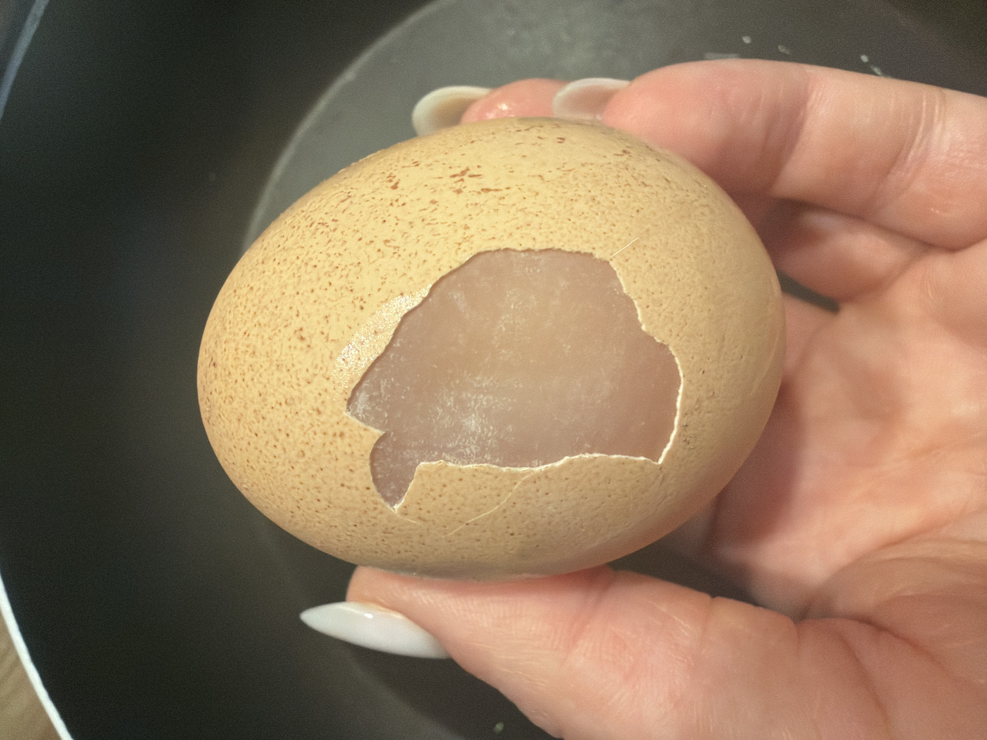 A close-up, high-angle shot shows a person's hand holding a light brown, speckled egg with a large section of the shell cracked and peeled away, revealing the translucent, cooked egg white within. The background is a dark, non-reflective surface, likely a pan. The egg appears to be in the process of being peeled. No specific location in Sofia, Bulgaria, is identifiable from the image.