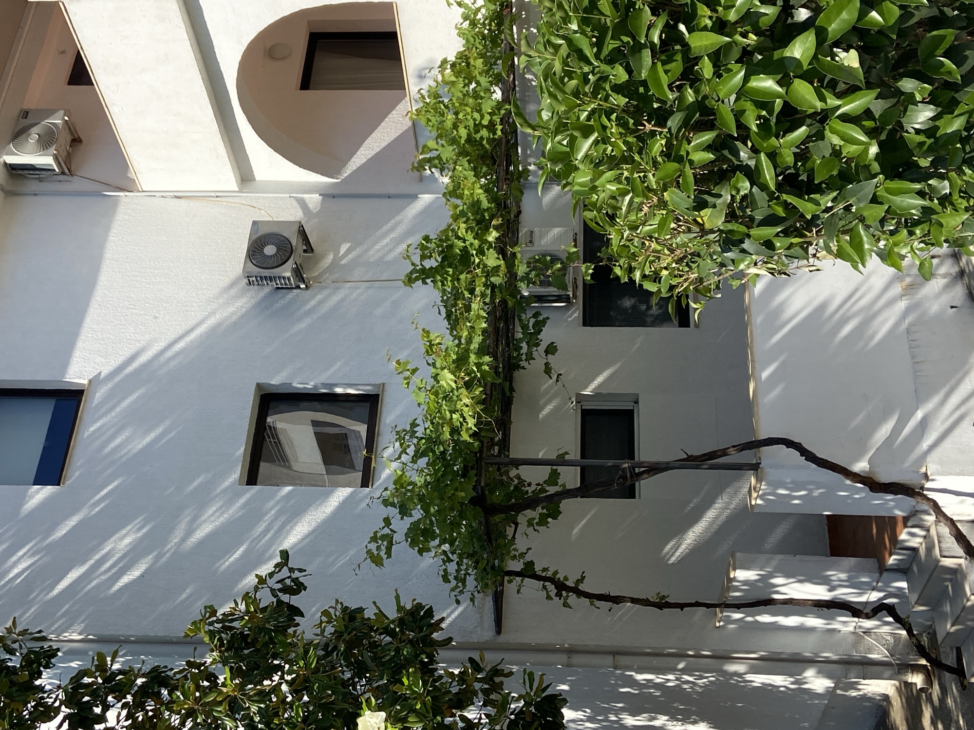 A sunny, upward-angled view captures a white building in Budva, Montenegro, partially obscured by vegetation. The building features an archway, several windows of varying sizes, and at least two air conditioning units mounted on the wall. A vine climbs a metal support structure against the wall. The scene is dappled with shadows cast by the surrounding foliage. Stairs are partially visible on the right side of the image.
