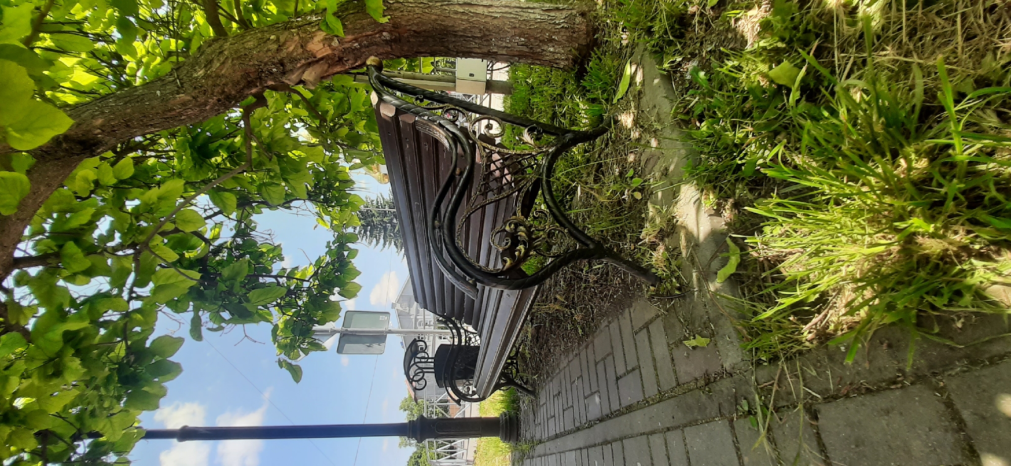 The image depicts an empty, dark brown wooden park bench with ornate black metal armrests and legs, positioned on a paved walkway. The bench is situated beneath the dappled shade of a large tree with lush green leaves. To the left of the bench, a dark lamppost stands. In the background, there are hints of buildings and a coniferous tree, suggesting an urban or semi-urban setting. The ground around the bench is covered in green grass and some dry leaves. The sky is blue with scattered clouds, indicating a bright, sunny day. The scene appears to be a quiet public space, likely in Yessentukskaya, Russia, given the context.
