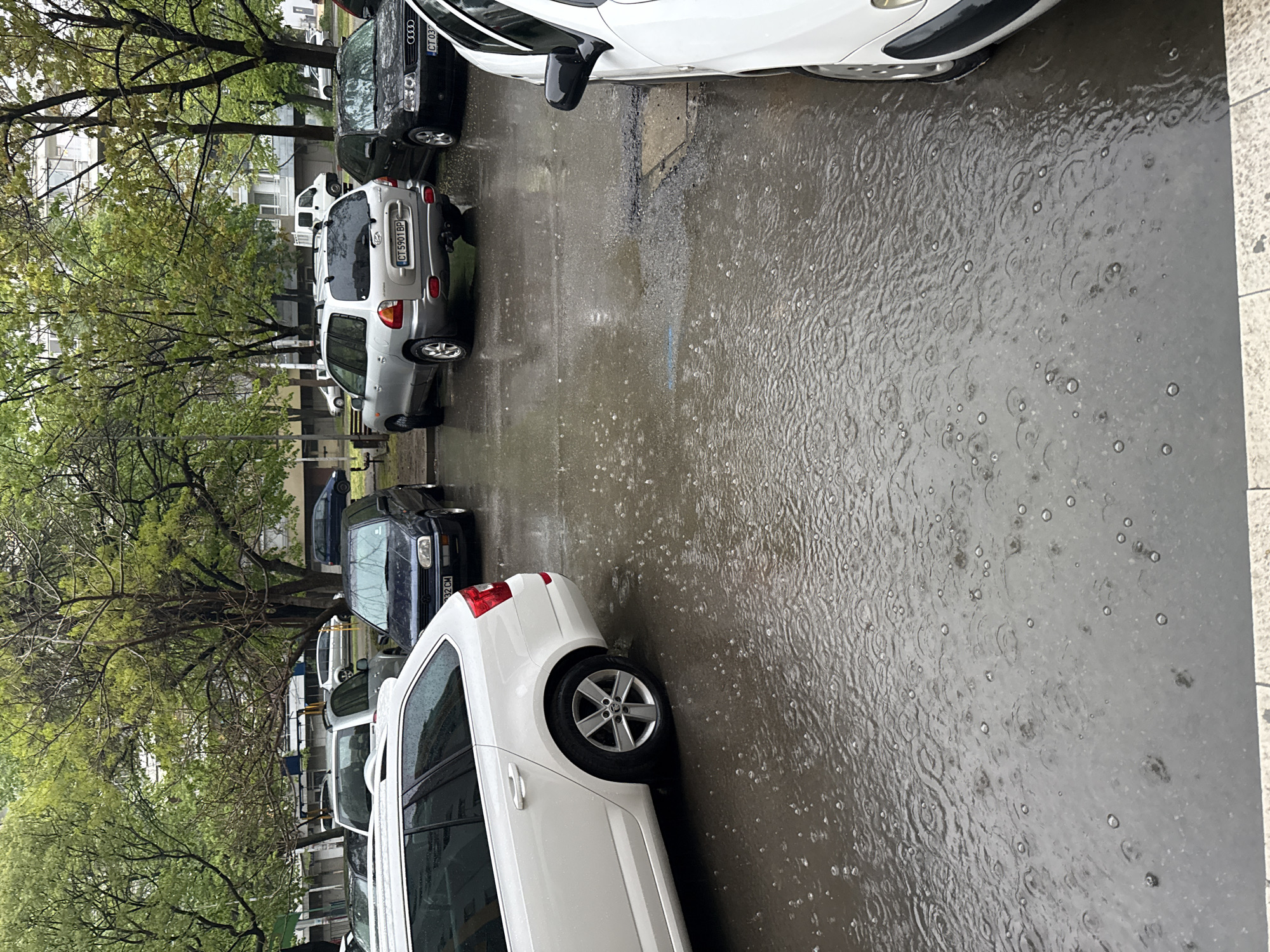 The image depicts an urban street scene during a rain shower, viewed from a slightly elevated perspective. The primary subject is a wet asphalt street covered in puddles, where countless falling raindrops create distinct ripples and small, transient bubbles on the water's surface. A grey concrete sidewalk runs along the right edge of the frame.
Several cars are parked along the street. In the foreground, the side and rear wheel of a white car are visible. Further down, a black Audi is parked, displaying the license plate "CT 0300 CX". Beside it is a silver Hyundai Santa Fe SUV, with its rear license plate reading "CT 5901 BP". Further back, a black hatchback, possibly an older Volkswagen model, is parked, showing the license plate "CT 032 CM". More vehicles are partially visible in the background, including a white van and other cars.
To the left, a line of trees with green foliage and visible branches separates the street from residential buildings. These multi-story apartment blocks are visible in the background, suggesting an urban or suburban setting. The weather is clearly rainy and overcast, indicating daytime conditions without direct sunlight. The scene provides a glimpse of daily life in Stara Zagora, Bulgaria, under inclement weather.