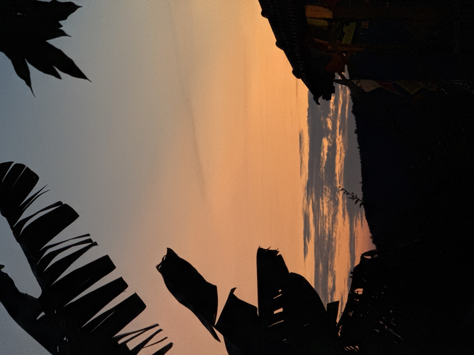 The image captures a tropical landscape at either dawn or dusk in Nha Trang, Vietnam. The sky presents a gradient transitioning from a pale blue-gray at the zenith to vibrant orange and yellow hues near the horizon, indicative of an obscured sun. Horizontally aligned, dark stratocumulus cloud formations are visible in the mid-sky. All foreground and midground elements are rendered in complete silhouette.
On the left side of the frame, large, segmented leaves, consistent with a banana plant, extend from the top to the lower-left, occupying a significant portion of the view. On the upper right, a section of a building is visible, featuring a dark, possibly tiled, roof and an underlying architectural structure. Several multicolored prayer flags or decorative banners are discernible as vertical dark shapes descending from this structure. The lower third of the image is dominated by the undulating silhouette of distant hills or mountains, partially obscured by sparse, dark vegetation on their crests. No individuals or explicit actions are present within the scene.