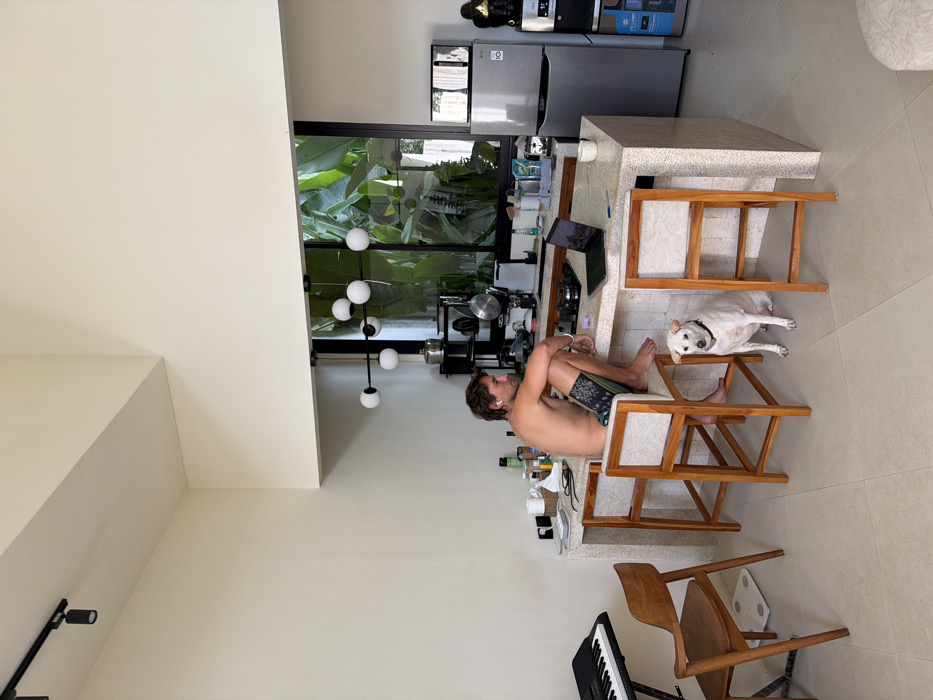A modern interior scene showcases a man seated on a wooden chair at a kitchen island, using a laptop. A white dog rests on the adjacent chair, looking toward the camera. The kitchen features stainless steel appliances, a window with lush greenery visible outside, and a pendant light fixture. A piano keyboard and another wooden chair are visible in the lower portion of the frame.