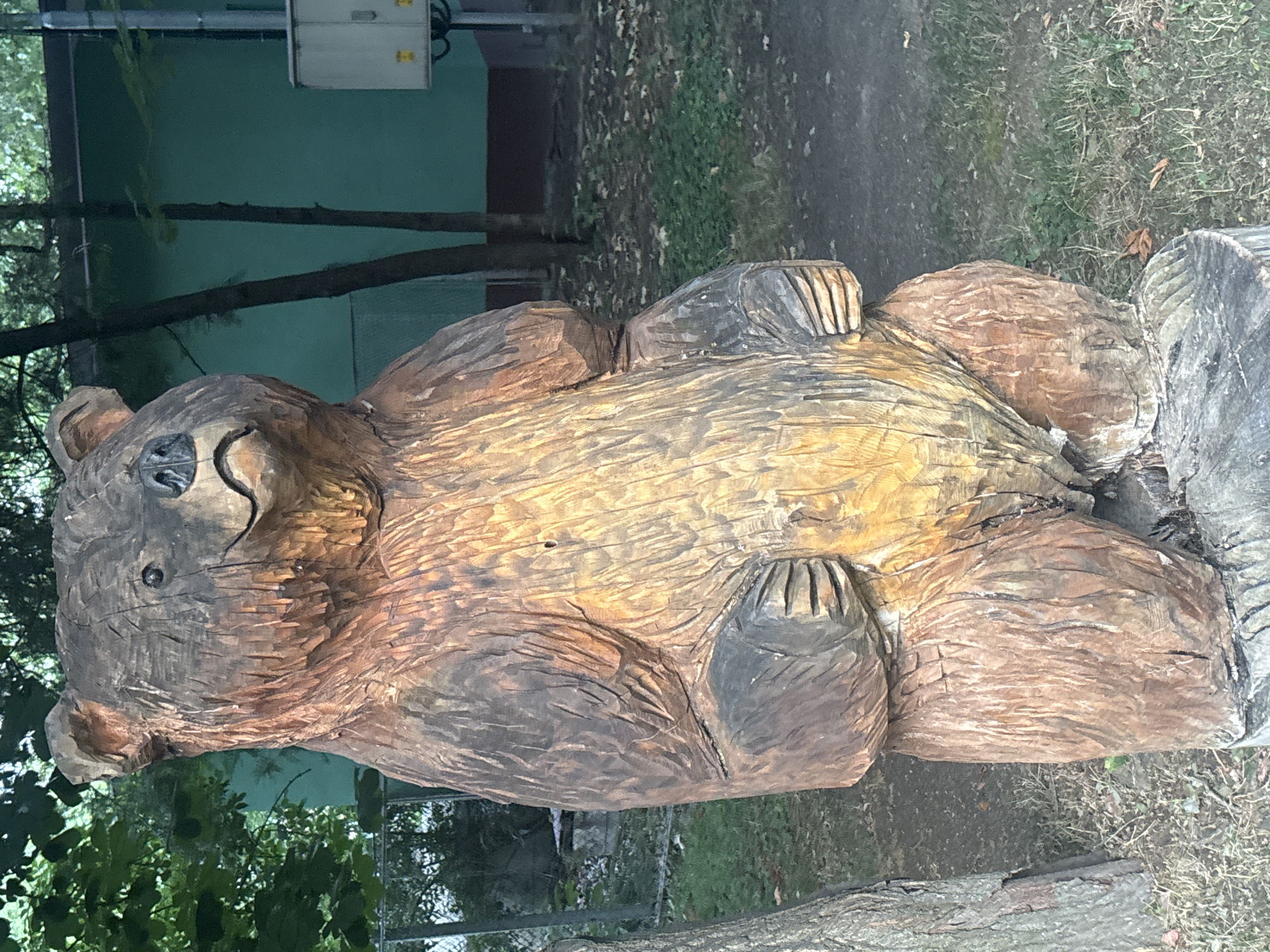 A full-body, outdoor, eye-level shot captures a weathered wooden sculpture of a bear in Strelcha, Bulgaria. The bear, carved from a tree trunk, stands upright on a stump. Its textured fur is detailed with vertical lines, and its facial features, including the nose and mouth, are carved in a stylized manner, giving it a gentle, almost smiling expression. The bear's paws are held close to its chest. The background consists of greenery, including trees and grass, with a teal-colored building and a utility box visible behind a fence. The lighting suggests it is daytime.