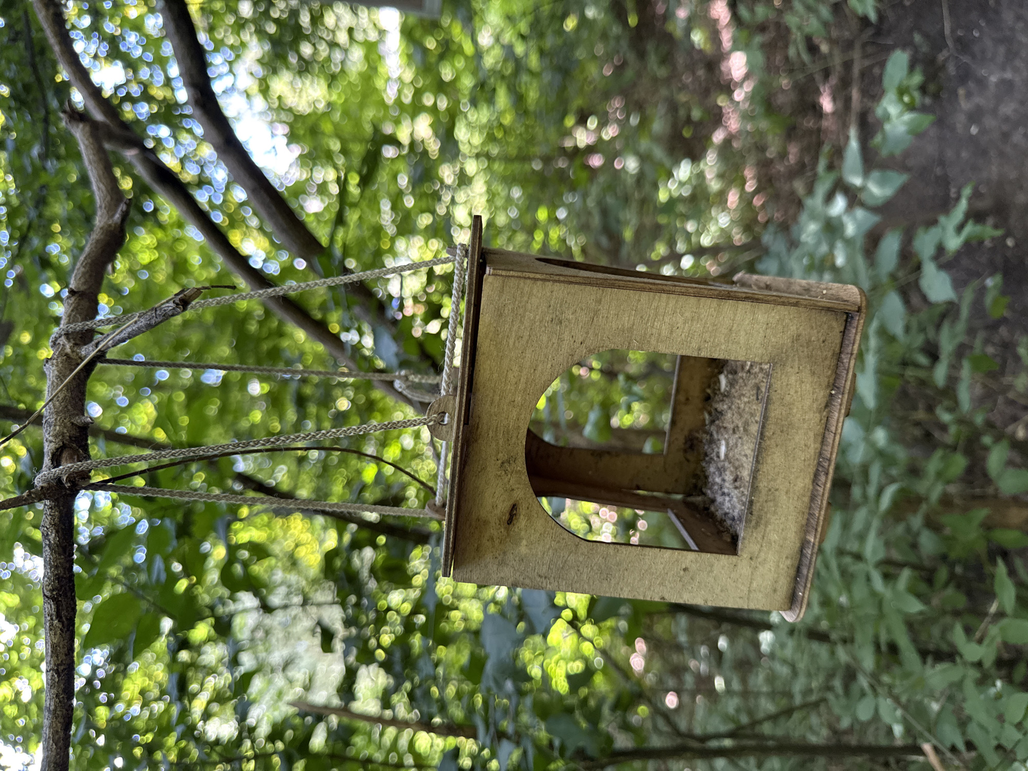 A wooden bird feeder hangs from a tree branch in a forest environment. The feeder is square-shaped with an arched opening on one side and appears to contain birdseed. The background is out of focus, showing lush green foliage and dappled sunlight. The specific location in Kazan, Russia cannot be determined from the image alone.