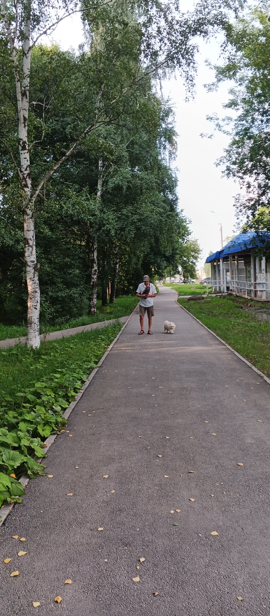 A man in a light-colored short-sleeved shirt, khaki shorts, and a baseball cap is walking down a paved pathway with a small, fluffy white dog. The man is holding something in his hands. The pathway is lined with trees on the left and a grassy area with a small blue-roofed structure on the right. The environment suggests a park or a residential street with green spaces. The image appears to be taken in Izhevsk, Russia, based on the information provided.