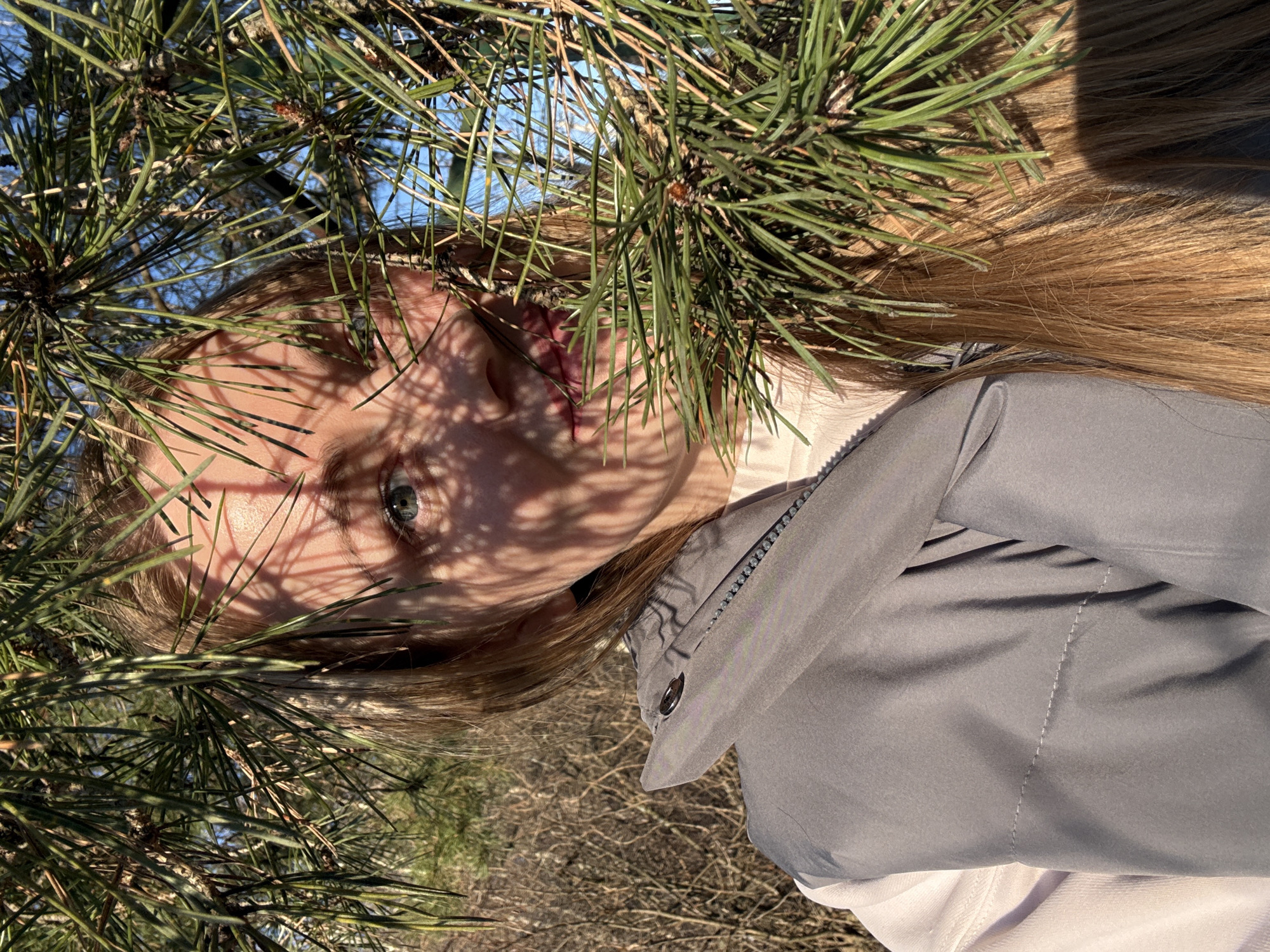 The image, oriented vertically, captures a close-up perspective of a person partially obscured by dense pine tree branches. The main subject is a young individual with long, light brown hair, whose face is visible through gaps in the foliage. One blue-grey eye is clearly discernible, along with parts of their nose and cheek. Strong sunlight casts distinct shadows of the pine needles across their face and hair, highlighting the texture of their skin and hair.
The person is wearing a grey jacket, identifiable by a visible zipper on the chest and a snap button closure. A light-colored garment, possibly white or cream, is visible underneath the jacket.
The scene is set outdoors, likely in a forest or park in Chaikovsky, Russia, during daytime under clear, sunny weather. The background shows glimpses of a bright blue sky and some dry, bare branches on the ground, suggesting an autumnal or early spring setting. The activity appears to be casual, with the person seemingly looking up or peeking through the branches. There is no visible text in the image.