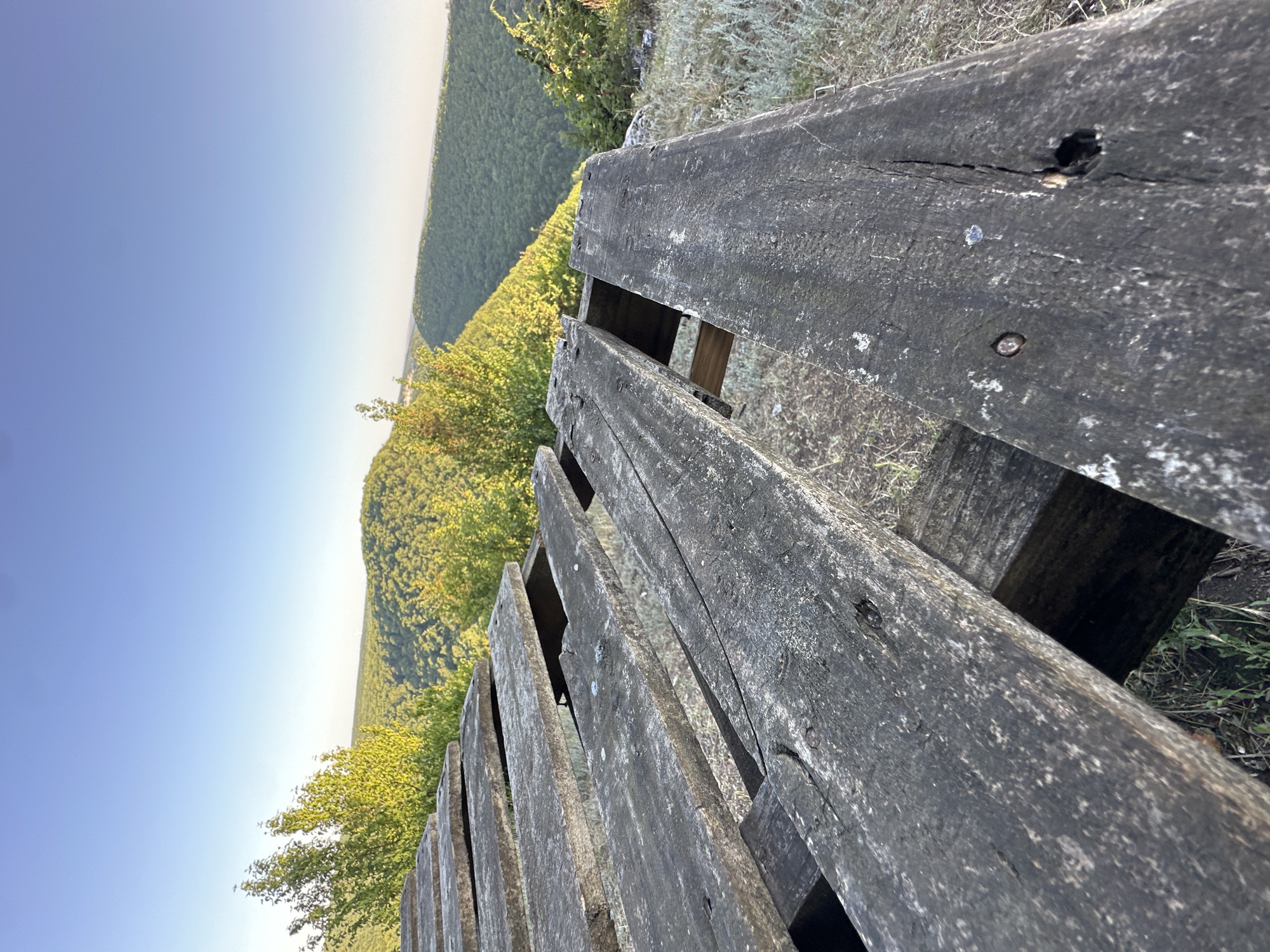 A low-angle, close-up shot focuses on weathered, aged wooden planks of a rustic seating structure, possibly a bench or picnic table, positioned on a grassy overlook. The planks are gray and worn, with visible nails and cracks, suggesting outdoor exposure. Beyond the foreground structure, a lush, verdant valley unfolds, blanketed in dense forestation that stretches into the horizon under a clear, pale blue sky. The scene appears to be a natural landscape, likely in a rural or park setting, consistent with the geography of Pryvorottia Druhe, Ukraine, known for its natural beauty and rolling hills. There are no people or animals present in the image.