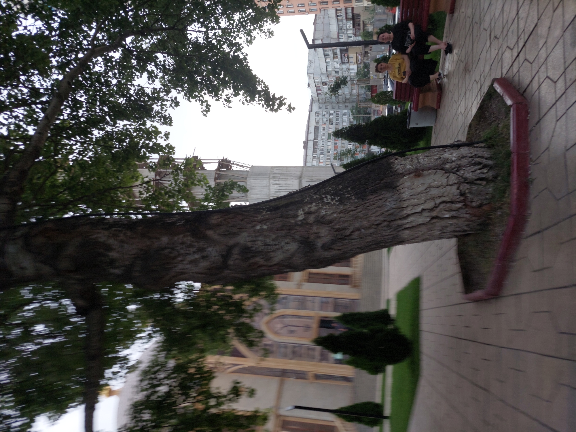The image depicts a public park area in Makhachkala, Russia, with a large tree prominently featured in the foreground. To the left of the tree, a building with a distinctive dome and arched windows, likely a religious or cultural institution, is partially visible. Further in the background, several apartment buildings can be seen, characteristic of urban Soviet-era architecture. Two women are seated on a park bench to the right of the tree, both wearing dark bottoms and one in a yellow shirt. A trash can is positioned next to the bench. The park area features paved pathways and manicured green spaces with small evergreen trees. The overall impression is a typical urban scene in a Russian city, combining natural elements with architectural structures.
