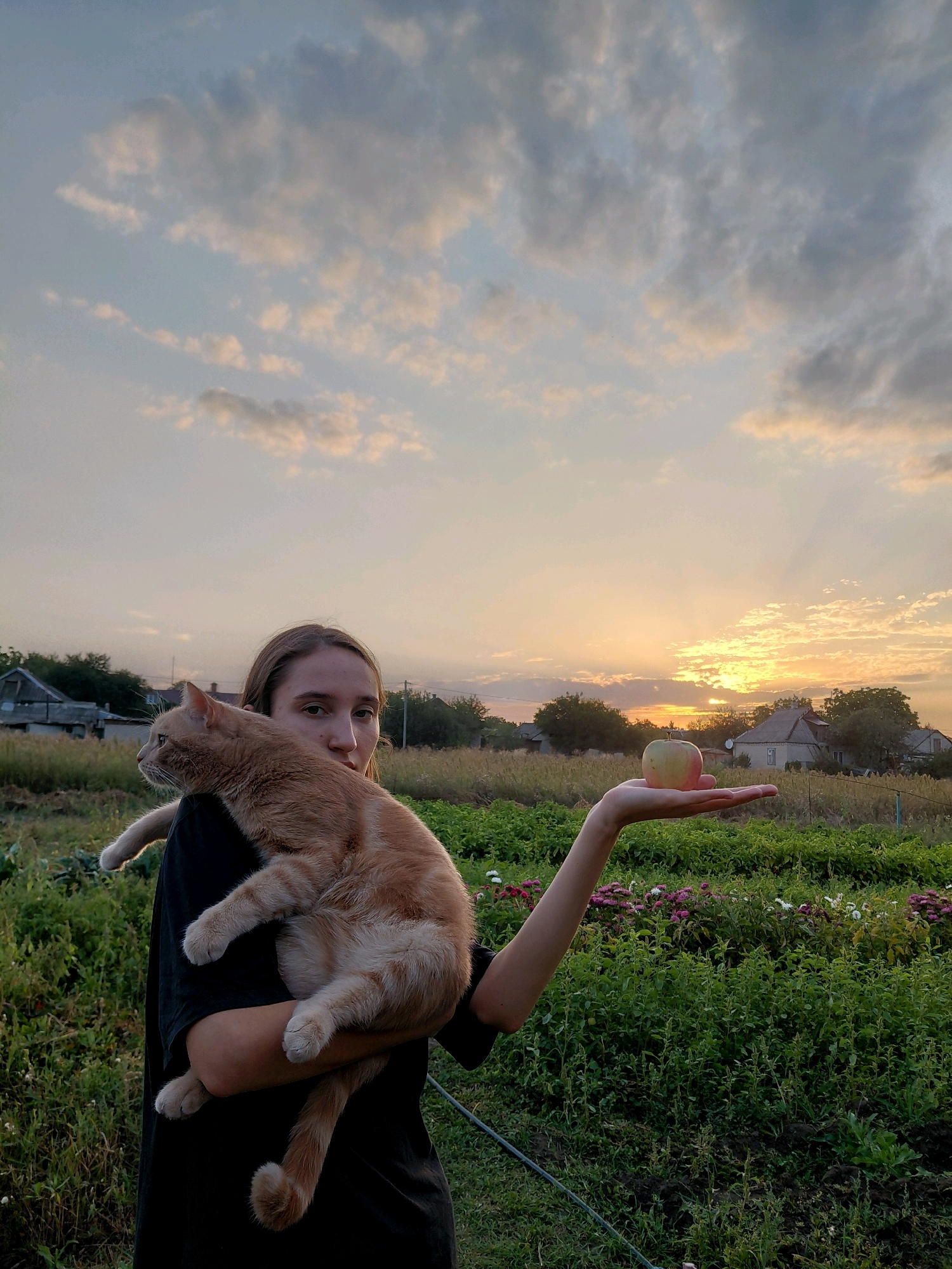 A medium shot shows a young woman in a dark t-shirt holding an orange tabby cat in her left arm. Her right arm is extended, palm up, displaying a green and red apple. The woman has light brown hair and is looking directly at the camera. The cat is facing left and looking away. Behind the woman is a field of green foliage with some flowering plants. In the background, there are houses and trees. The sky above is filled with clouds tinged with orange and yellow from a setting sun. The location is described as Unknown, Unknown.