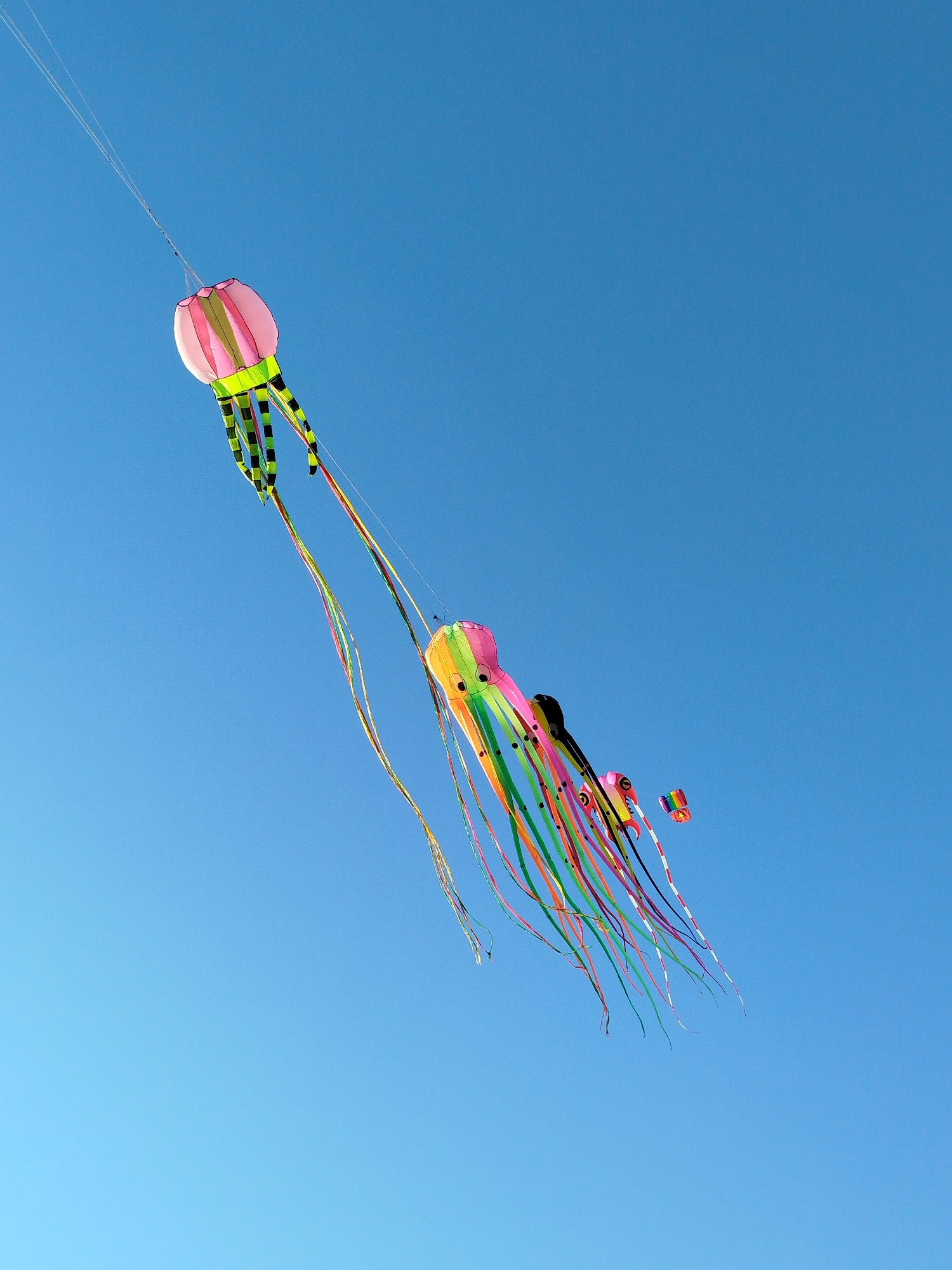 The image shows two jellyfish-shaped kites and a smaller kite flying in a clear blue sky. The larger kite is pink and green with black and white striped tentacles. The second jellyfish kite is rainbow-colored with long, thin tentacles. A small rainbow-colored kite is near the rainbow-colored jellyfish kite. Fine kite string is visible extending from the kites toward the top of the image. The location is not discernible from the image.