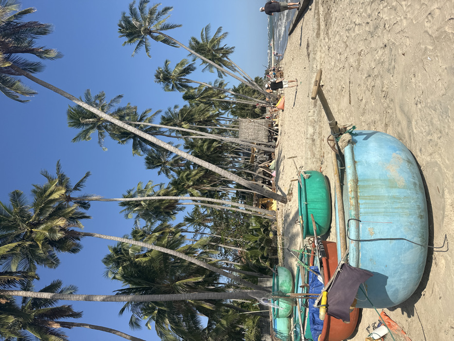 The image displays a sunlit beach scene in Thành phố Phan Thiết, Vietnam. In the immediate foreground, five traditional Vietnamese round fishing boats, or 'thúng chai', are beached on light brown sand. The closest boat is a large, weathered light blue vessel with an oar resting across its rim and a dark blue cloth draped over one side. Behind it, other 'thúng chai' are visible in red-orange, light green, and dark green, some containing tarps or fishing equipment.
The midground features a sandy beach extending towards the ocean, bordered on the left by a dense stand of tall palm trees with green fronds, many exhibiting a noticeable lean. Underneath these trees, various makeshift structures are present, including a straw-roofed hut and wooden frames, surrounded by colorful bean bag chairs in shades of yellow, orange, and blue.
Approximately five individuals are visible on the beach. One person, wearing a dark shirt and white shorts, walks away from the viewer on the sand towards the water. Another individual, dressed in dark clothing, walks on a low concrete barrier or seawall located along the right edge of the beach, near the water's edge.
The ocean occupies the far right, displaying small waves breaking near the shore. The background is dominated by a clear, vibrant blue sky, with additional palm trees extending into the distance. Faint outlines of distant coastal structures are discernible on the horizon.