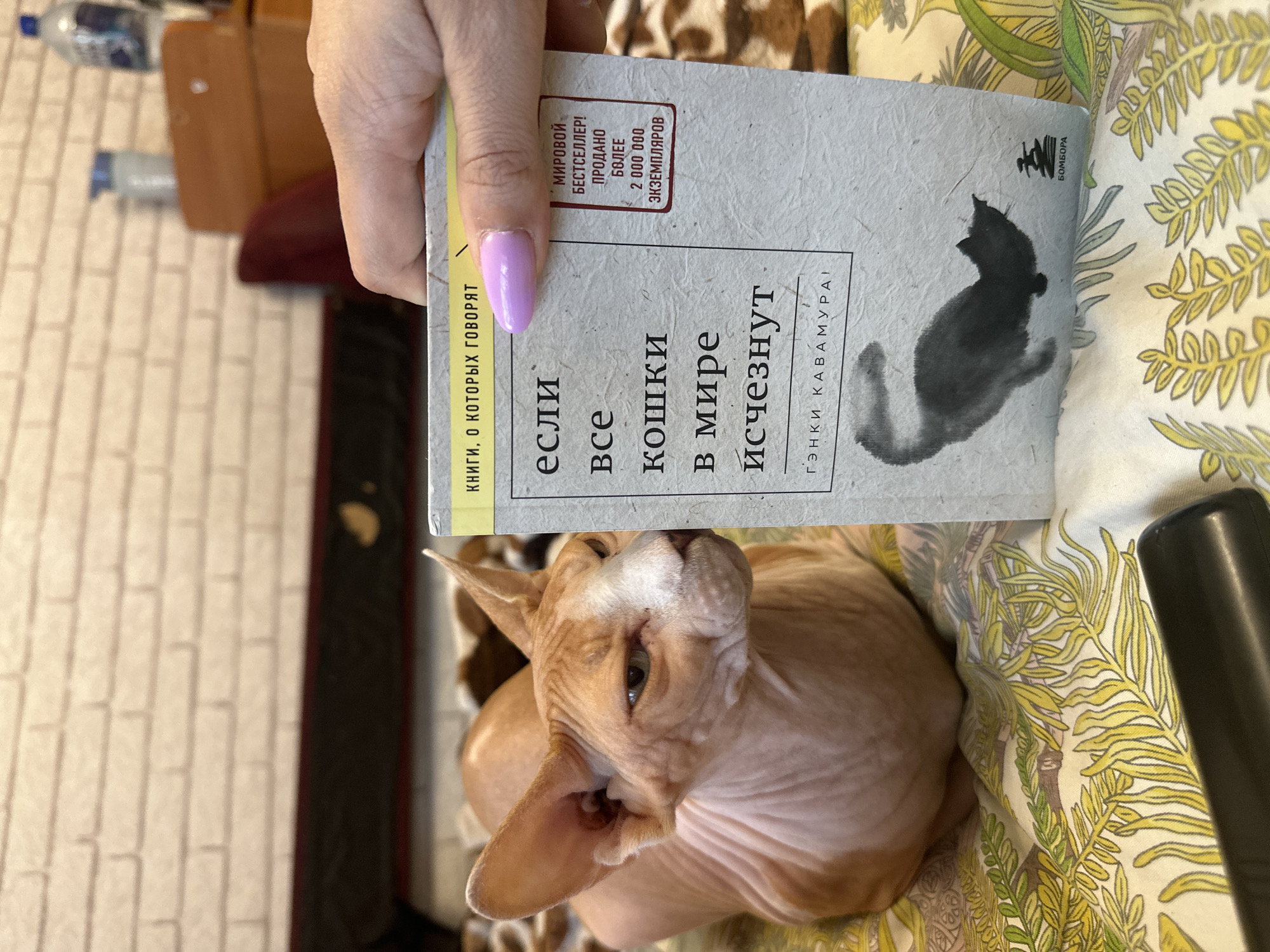 The image shows a book held by a person's hand, with a Sphynx cat lying below it. The book's cover features a minimalist ink drawing of a black cat and text in Russian. The title translates to "If all the cats in the world disappear." Text on the cover also indicates it is a "world bestseller" with over 2,000,000 copies sold. The background appears to be a patterned fabric, possibly a blanket or upholstery, with yellow and green floral motifs. The setting is indoors, with a hint of a brick wall on the left side of the frame, suggesting a domestic environment. The overall lighting suggests it could be daytime. The cat is a light orange-brown color and appears relaxed. The person's hand has a light purple nail polish. The image's orientation is rotated, making the book appear upright and the cat mostly lying on its side.
