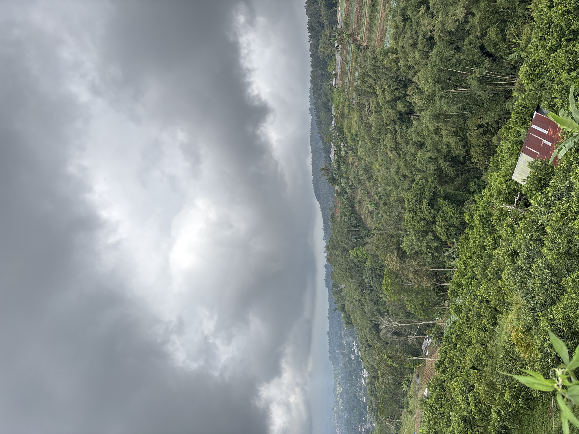 The image depicts an elevated view in Baturiti, Indonesia, under an overcast sky filled with dense, gray clouds. The landscape is dominated by lush, green vegetation, including trees and agricultural fields. A portion of the city is visible in the distance, shrouded in a slight haze. A building with a partially rusted roof is nestled among the trees. The overall scene suggests a mountainous or hilly region with dense foliage and agricultural activity.