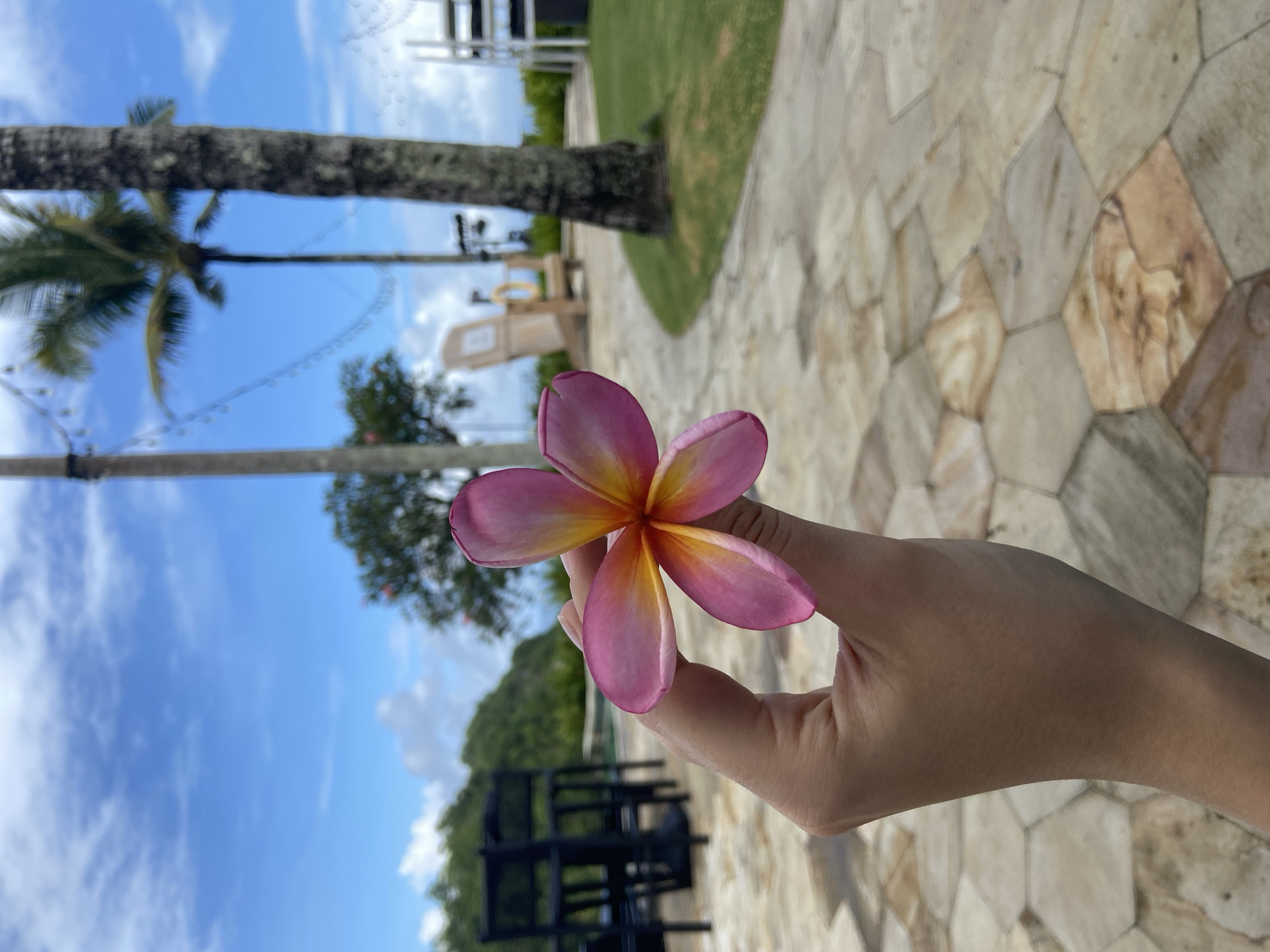 A hand holds a pink and yellow frangipani flower against a blurred outdoor background in Kuta Selatan, Indonesia. The ground is paved with polygonal stones. Behind the flower, there are trees, a lifeguard stand, and a palm tree against a blue sky with scattered clouds. A modern outdoor chair is partially visible. A portion of the flower is obscured by the hand. The flower is in focus, while the background is blurred.