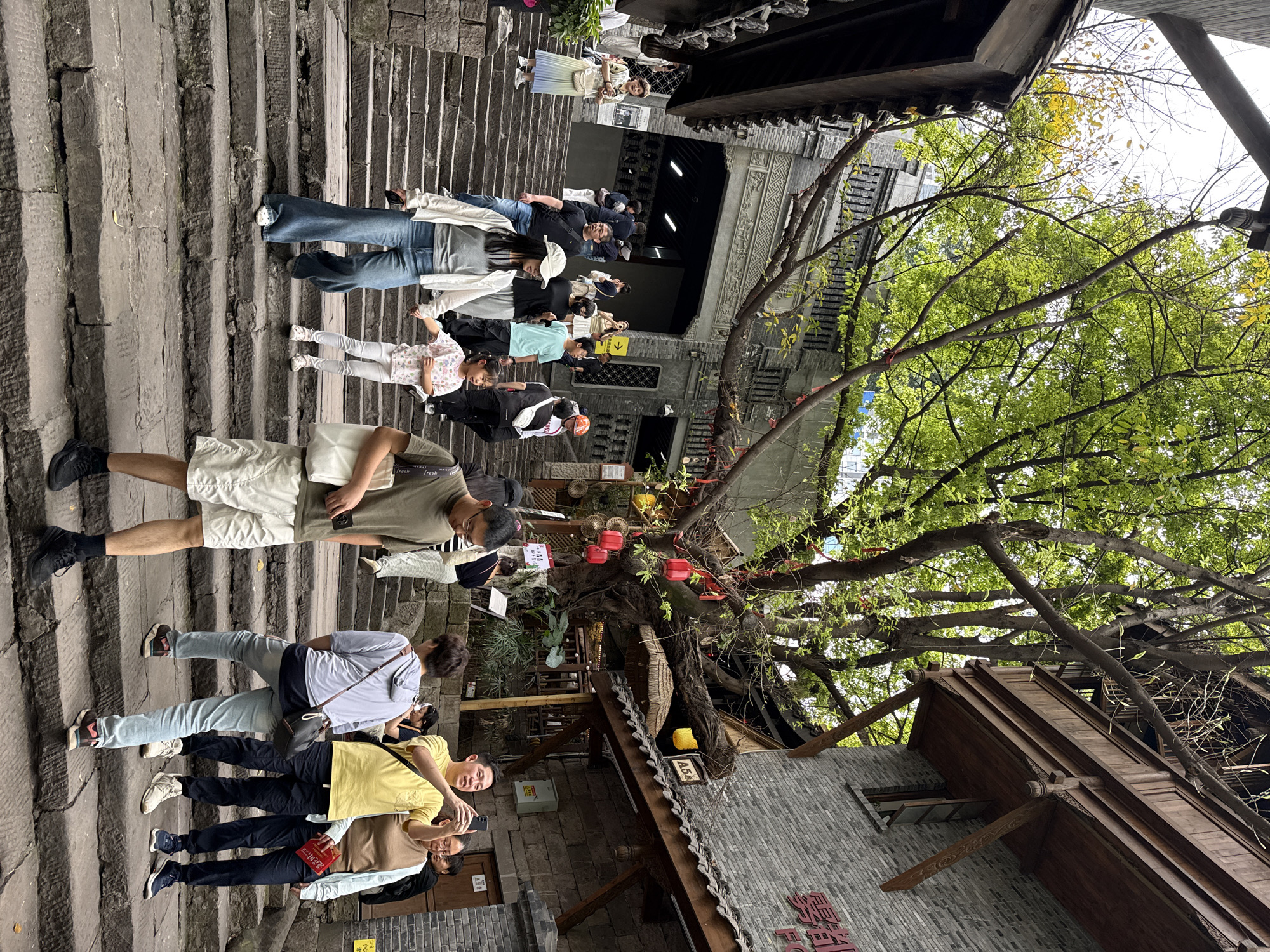 The image captures a street scene in the Yuzhong District of Chongqing, China. A set of stone steps dominate the left side of the frame, populated with pedestrians. People are walking up the steps or standing, some appear to be taking photos. Buildings line the right side of the image, constructed from gray stone or brick, with traditional Chinese architectural elements. A large tree with green leaves is growing near these buildings, its branches covering the scene. Red decorative lanterns hang from the tree. The lighting appears to be natural daylight.