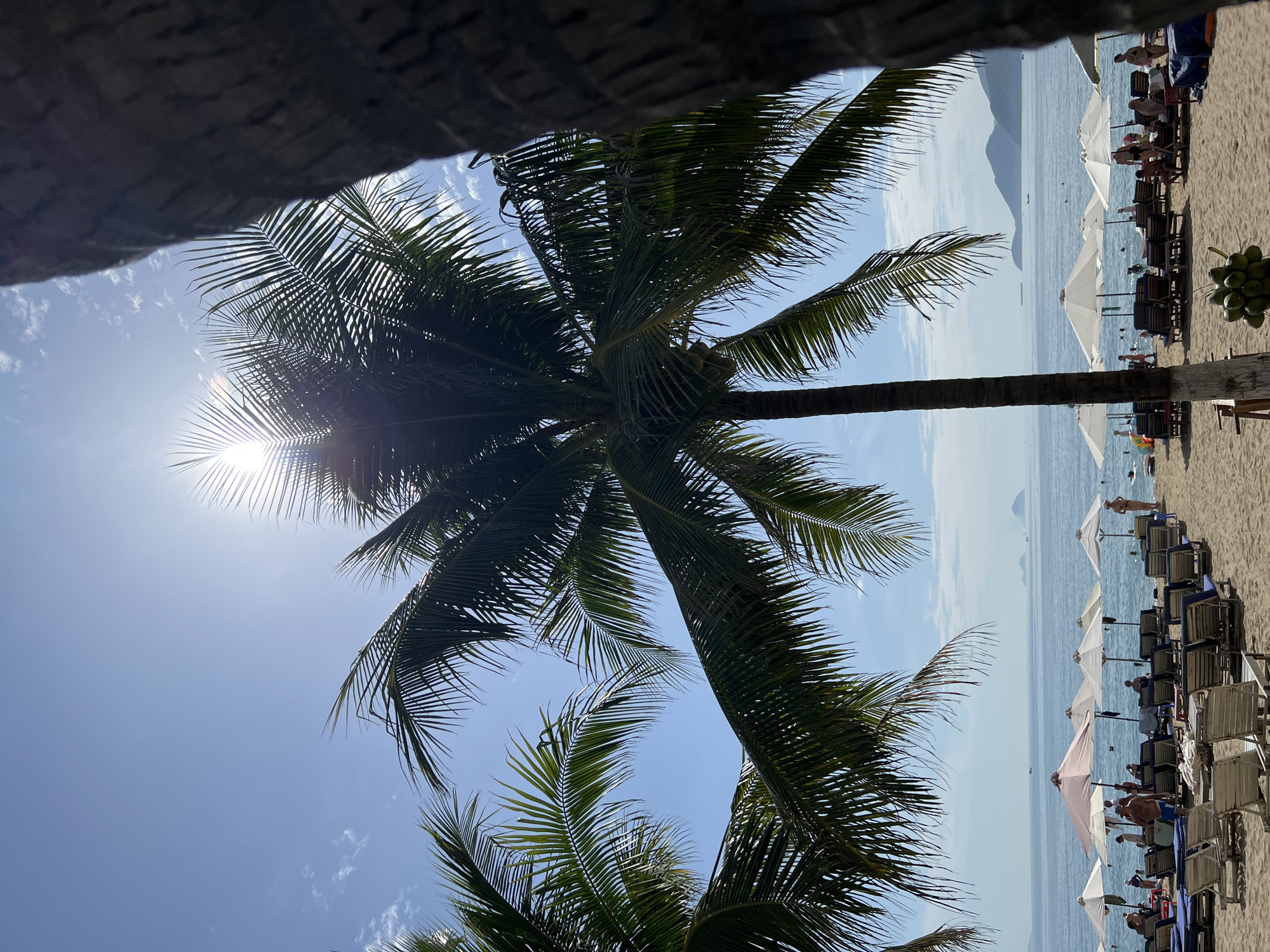 This image depicts a sunny day at a beach in Nha Trang, Vietnam, likely a popular tourist area given the presence of lounge chairs and umbrellas. In the foreground, the trunks and fronds of palm trees frame the scene, with the sun directly behind the central palm tree, creating a lens flare effect. The beach itself is sandy, with rows of empty and occupied lounge chairs and several white and pink umbrellas providing shade. People are visible in the background, some standing on the shore and others in the shallow water. The ocean is calm and a light blue, with a few distant islands or landmasses visible on the horizon. The sky is a bright blue with scattered white clouds. A bunch of coconuts hangs from a branch in the lower right corner of the frame.