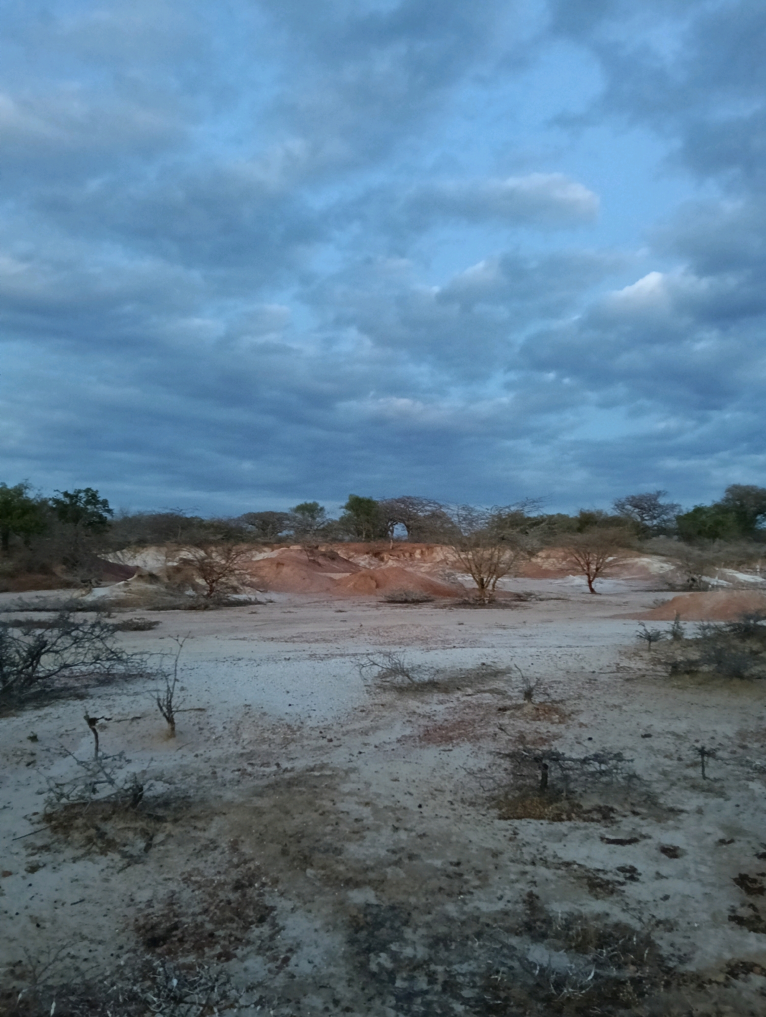 The image depicts a natural landscape, likely a dry riverbed or badlands area, under a cloudy sky. The terrain is characterized by sandy and earthy formations with patches of sparse vegetation, including dry brush and scattered trees. The colors are muted, with earthy tones of brown, red, and white in the soil, contrasted by the blue and grey hues of the sky and the darker greens of distant trees. The scene appears to be located in a rural or undeveloped area within the Mutitu/Kaliku ward of Kenya. There are no people or specific actions visible in the image.