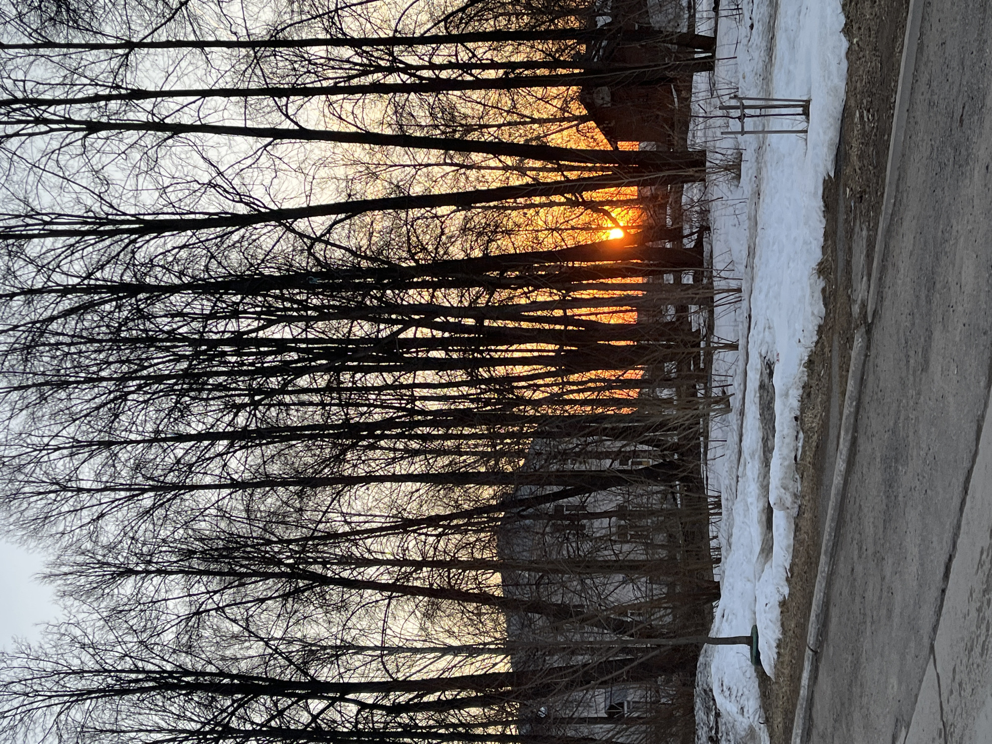 The image shows a sunset viewed through bare trees, likely in a park or residential area. The sun is a bright orange orb, partially obscured by tree branches. The trees are silhouetted against the sky, which fades from white to orange near the horizon. On the right side of the image, there is snow-covered ground and a paved surface, possibly a sidewalk or road. A building is visible behind the trees. Without additional context or identifiers, confirming the exact location in Chaikovsky, Russia, is not possible.