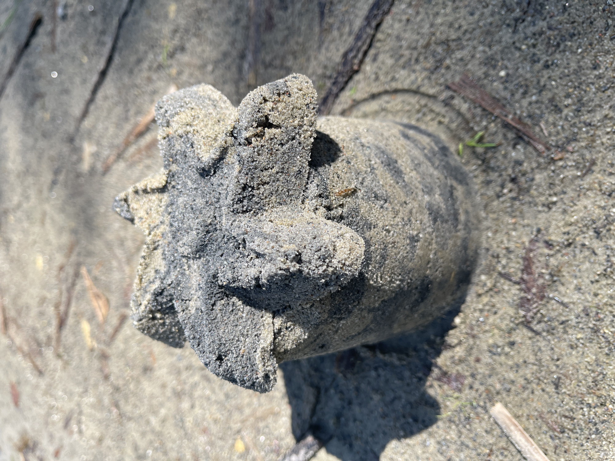 A close-up, outdoor, ground-level shot focuses on a sand sculpture with a dark grey and tan speckled texture, resembling a cylindrical base topped with star-shaped protrusions. The sculpture is on a sandy surface with sparse, dry vegetation and scattered debris. The lighting suggests it is daytime, with shadows cast by the sculpture indicating the direction of the light source. The background is blurred, showing more of the sandy ground with hints of organic material and possibly water. The overall scene depicts a weathered sand creation in a natural, outdoor setting.