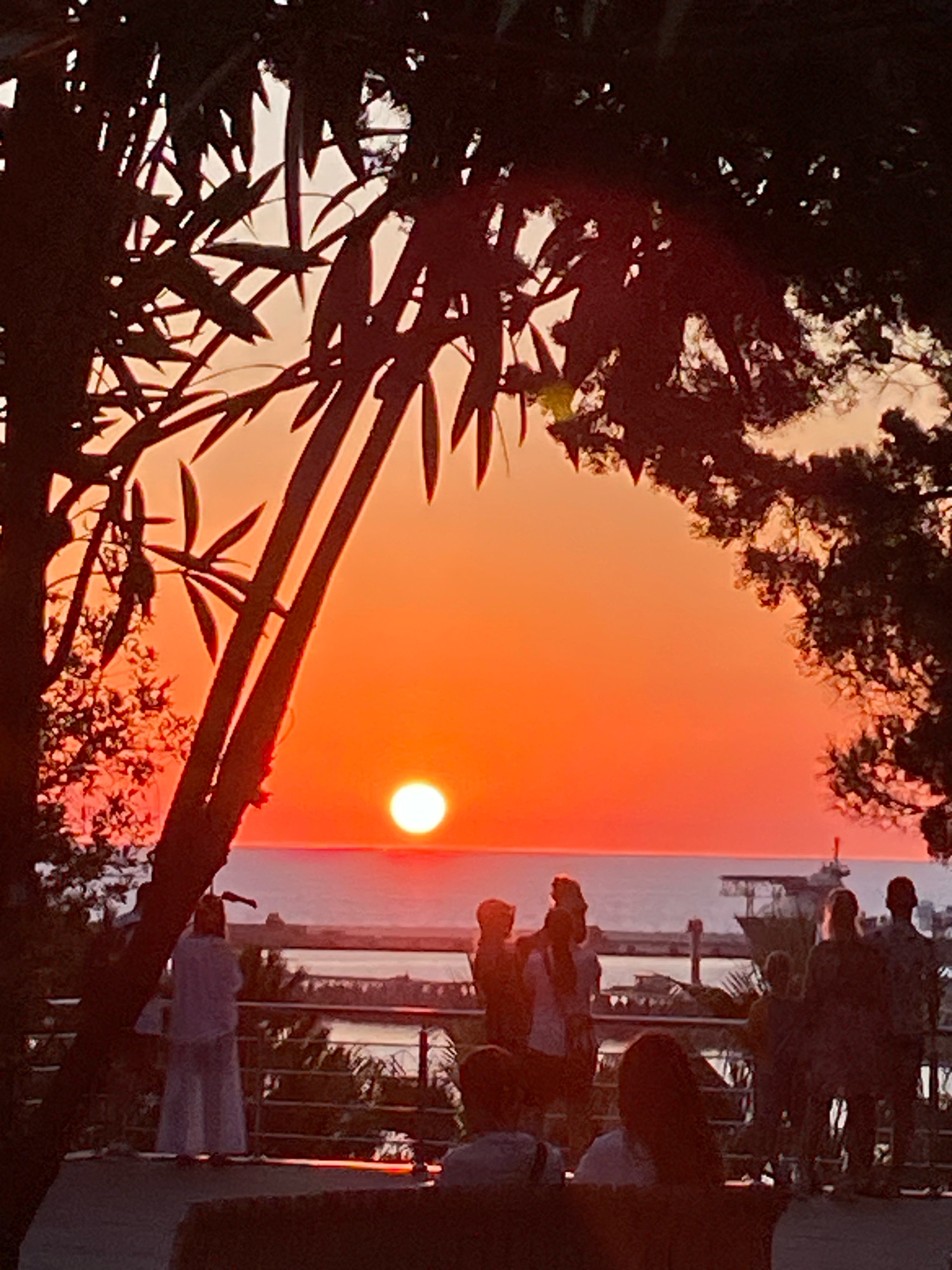 The image captures a sunset over the sea, viewed through silhouetted trees. In the foreground, several individuals are gathered, observing the scene. One person in the mid-ground is standing and appears to be wearing a white garment. Further back, a group of people stand near a railing, looking towards the water. A large vessel, possibly a ship or a barge, is visible on the water. The sky is a vibrant orange and yellow gradient, with the sun positioned near the horizon. The overall impression is of a serene evening gathering.