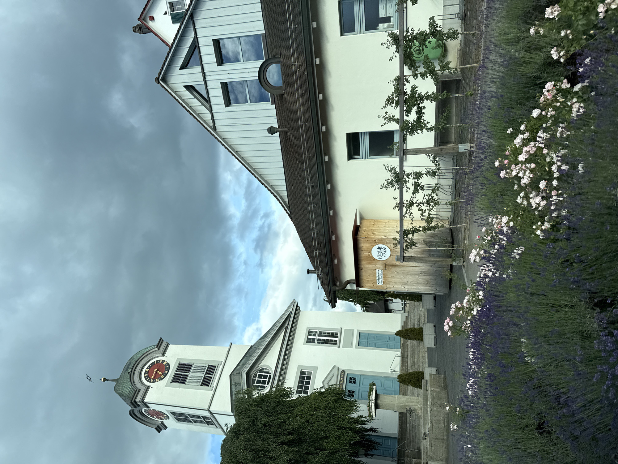 This image depicts a town square in Embrach, Switzerland, under an overcast sky with patches of blue. The scene is dominated by two main structures: a white church with a prominent clock tower on the left, and a multi-story building on the right.
The church features a light-colored stucco facade and a tall, square clock tower topped with a green, dome-shaped roof culminating in a spire and a weather vane. The tower displays four clock faces with red backgrounds, gold Roman numerals, and gold hands. Below the clocks are louvered vents. The main body of the church has a neoclassical architectural style, characterized by a gabled portico over the primary entrance, featuring a large arched window above two light blue double doors. Additional light blue doors are visible on the lower level, and rectangular windows are present on the side facade. Stone steps lead up to the main entrance, flanked by a concrete planter and two conical evergreen shrubs. A large, weeping-style tree partially obscures the left side of the church.
To the right of the church, a two-story building presents a light-colored stucco ground floor and an upper story clad in light vertical paneling. Its dark-tiled roof features a circular dormer window and a chimney vent. The upper level includes large rectangular windows and a triangular window in the gable.
In the mid-ground, a freestanding wooden kiosk-like structure is positioned in front of the building on the right. It displays two signs: one reads "Kühlschrank" (German for refrigerator) with smaller unreadable text below, and the other features a white circular background with the stylized text "MADAME FRIGO." This structure is likely a public food sharing refrigerator.
The foreground is occupied by a large planting bed filled with purple flowering lavender and clusters of small pink and white roses. A paved area is visible behind the plantings, leading towards the church steps. A low wooden fence or railing, along with several young, sparsely leafed trees, separates the planting bed from the building on the right. A green, circular object is partially visible behind the young trees. No individuals are present in the image.
